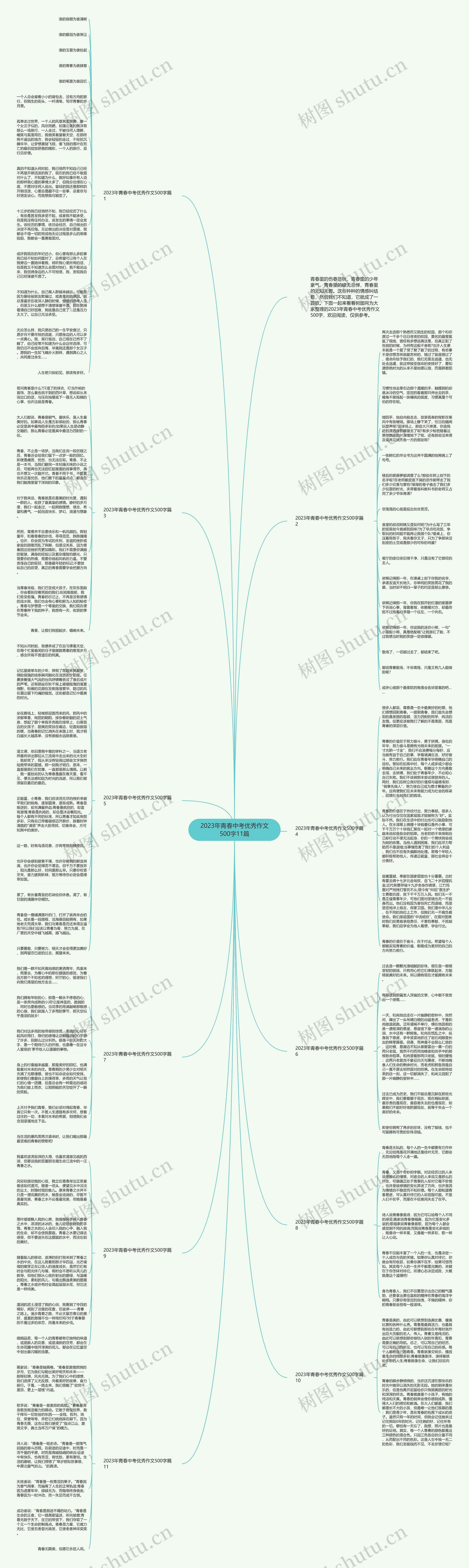 2023年青春中考优秀作文500字11篇思维导图