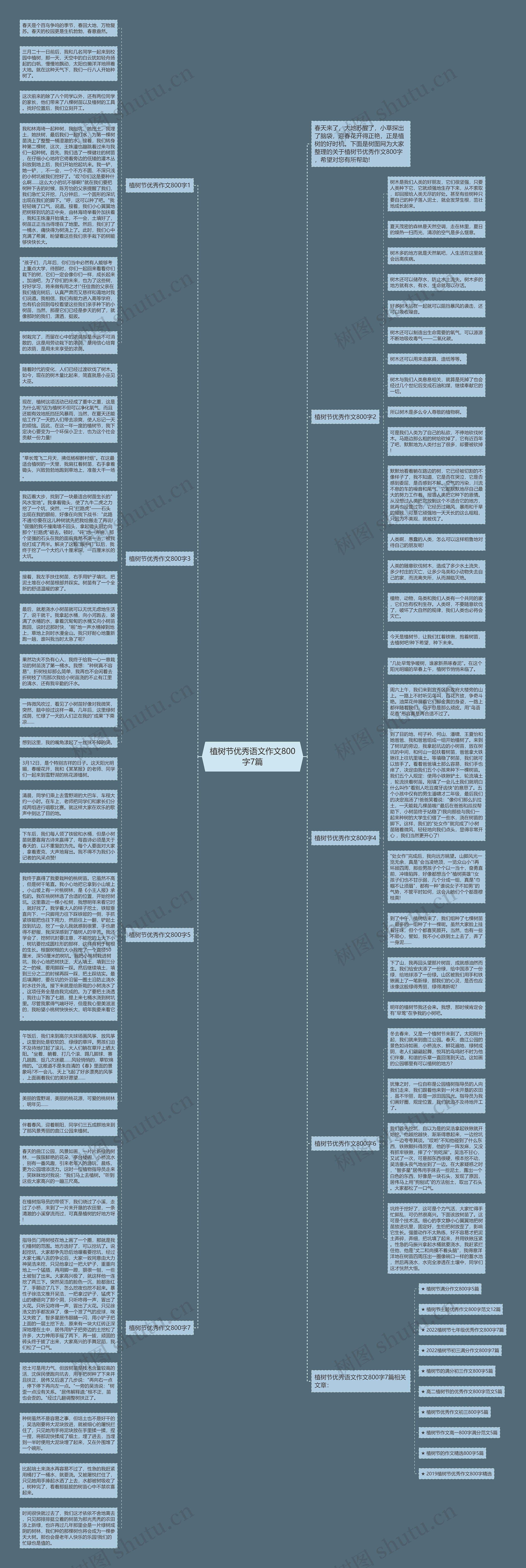 植树节优秀语文作文800字7篇思维导图