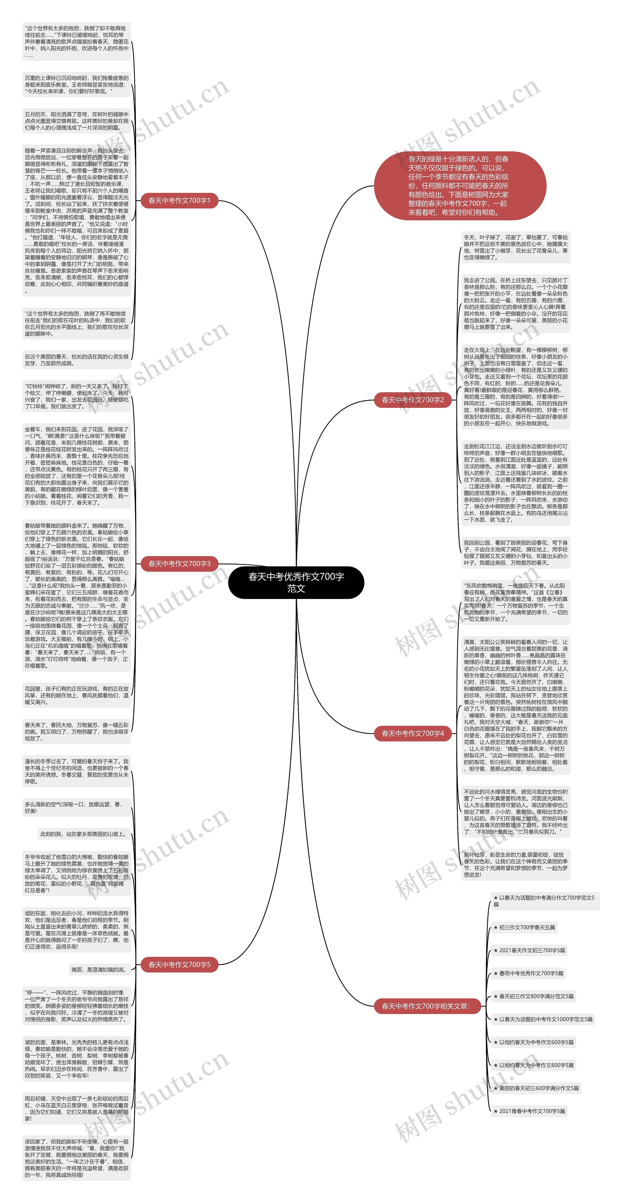 春天中考优秀作文700字范文思维导图