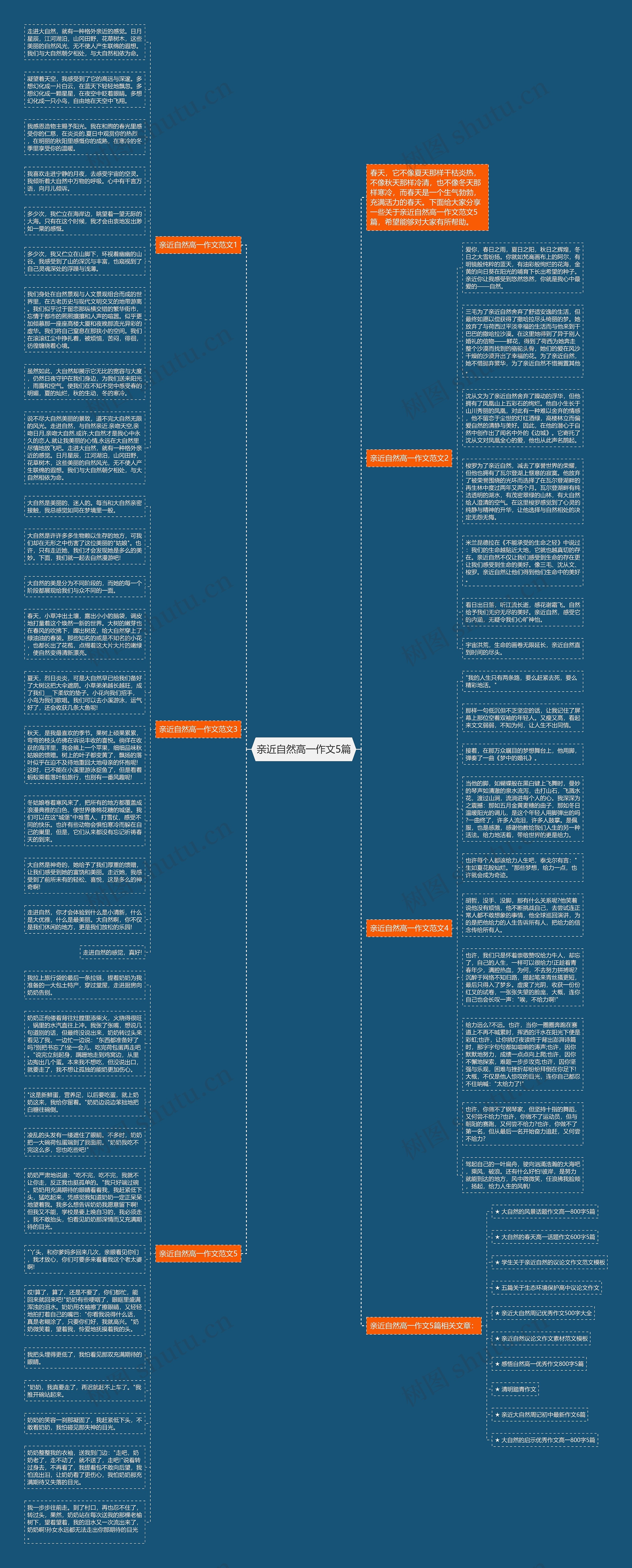 亲近自然高一作文5篇思维导图