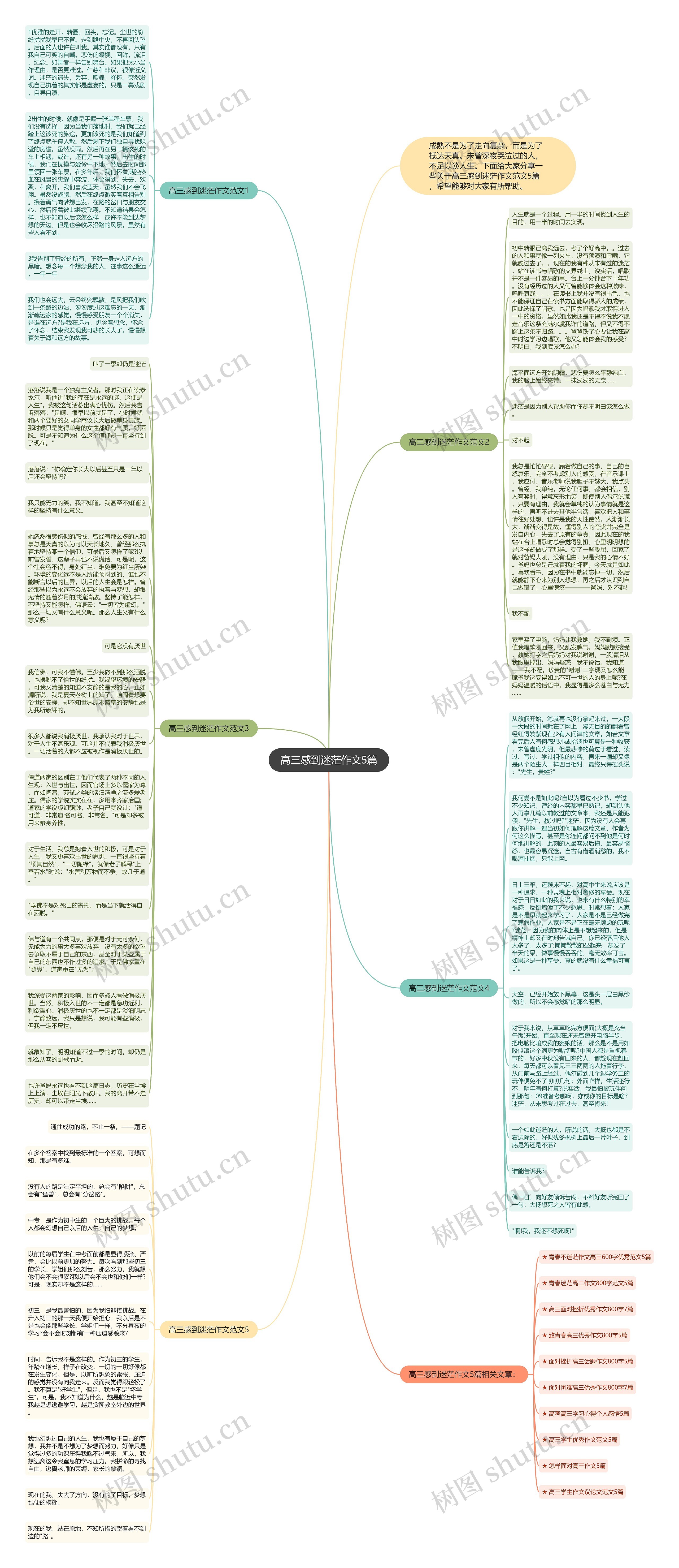 高三感到迷茫作文5篇思维导图