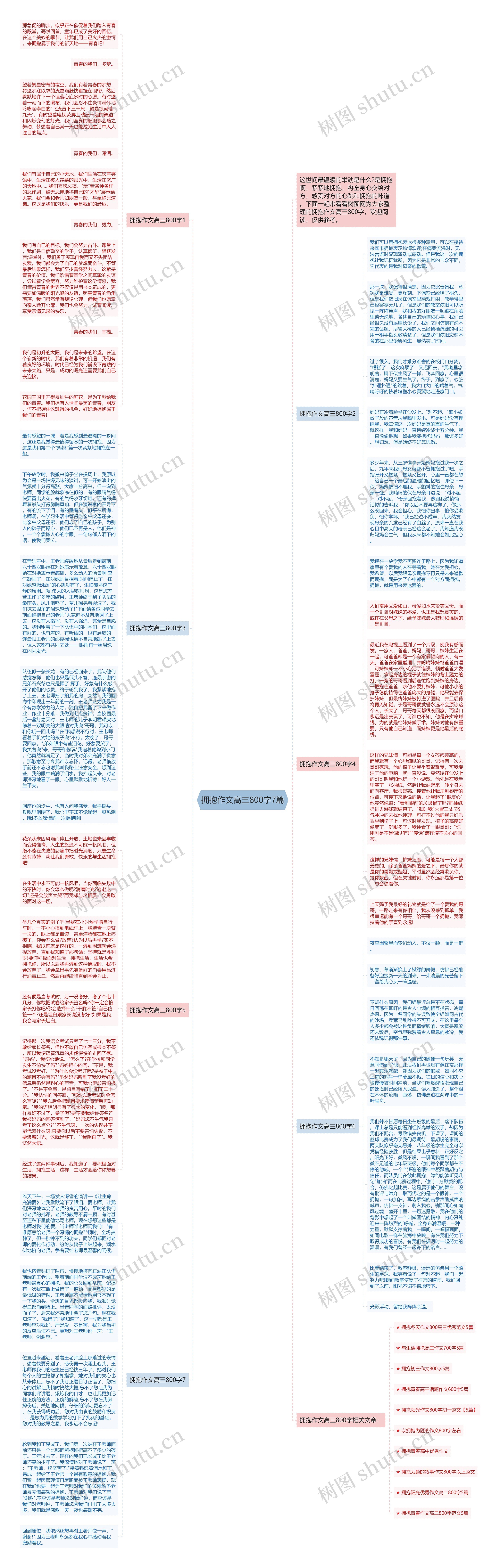 拥抱作文高三800字7篇思维导图