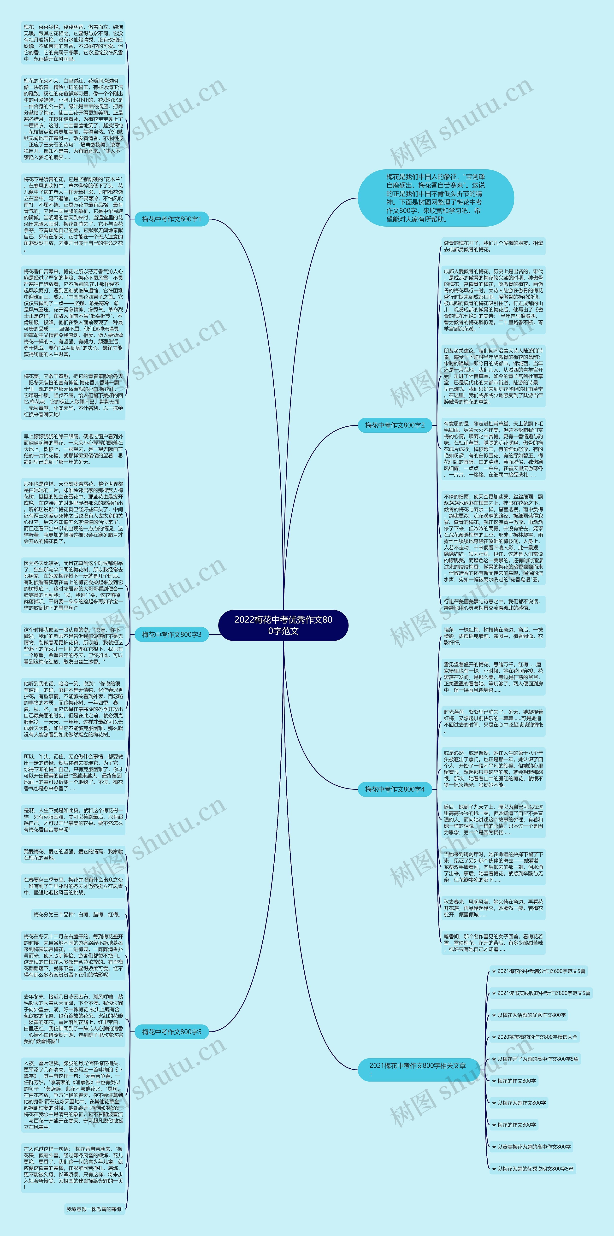 2022梅花中考优秀作文800字范文思维导图