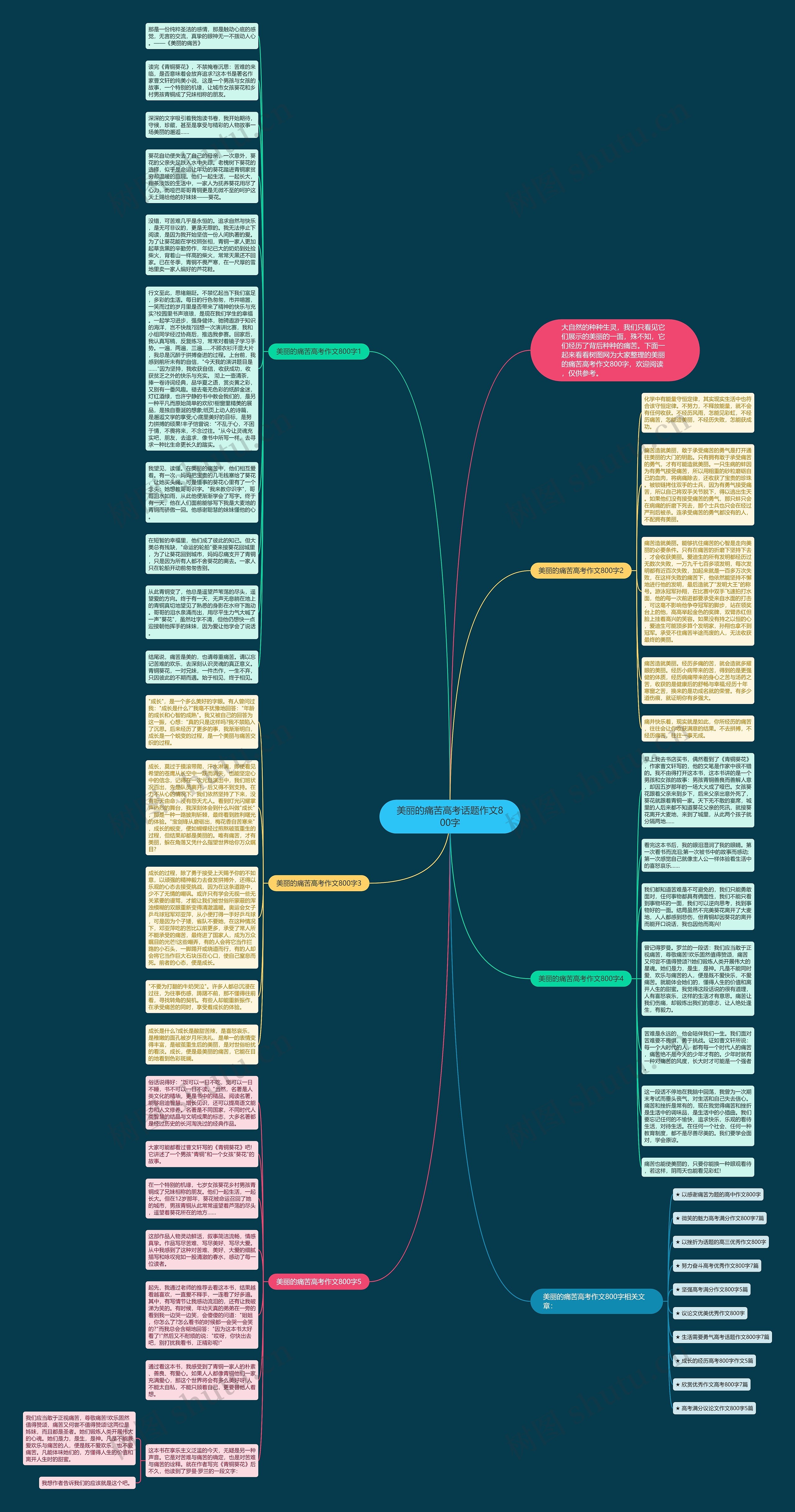 美丽的痛苦高考话题作文800字思维导图