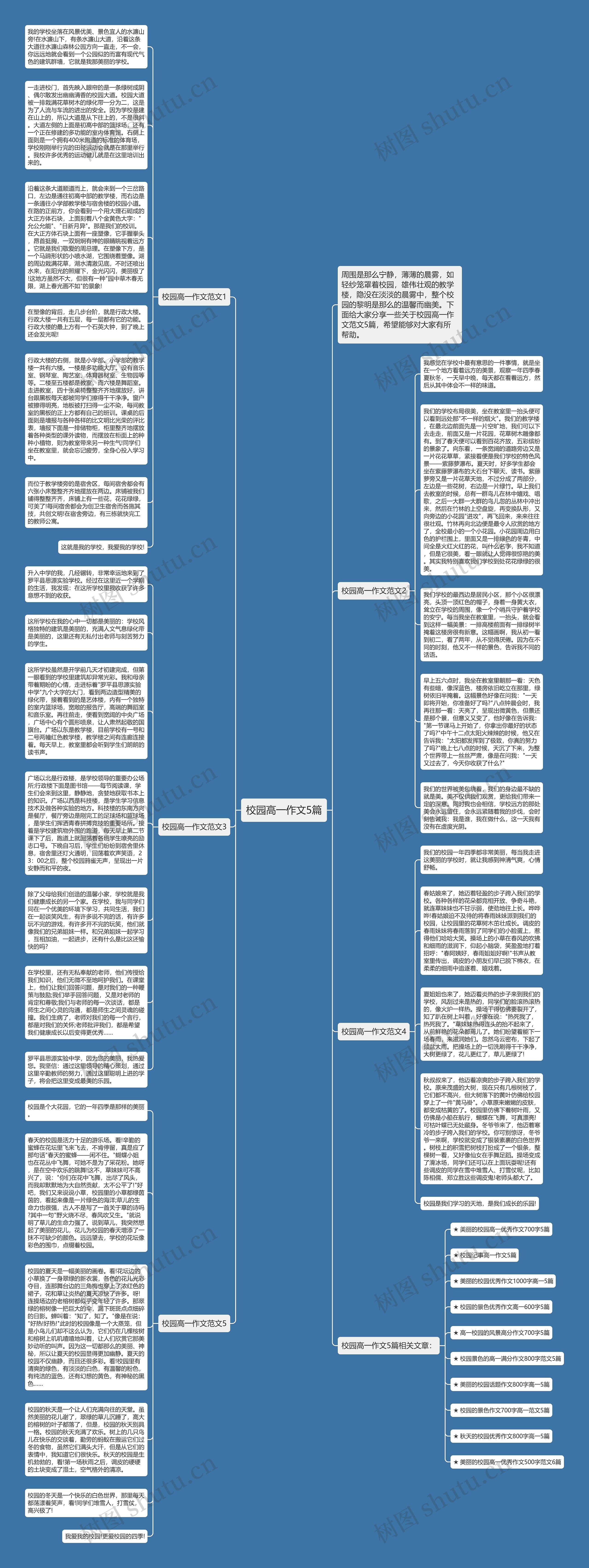 校园高一作文5篇思维导图