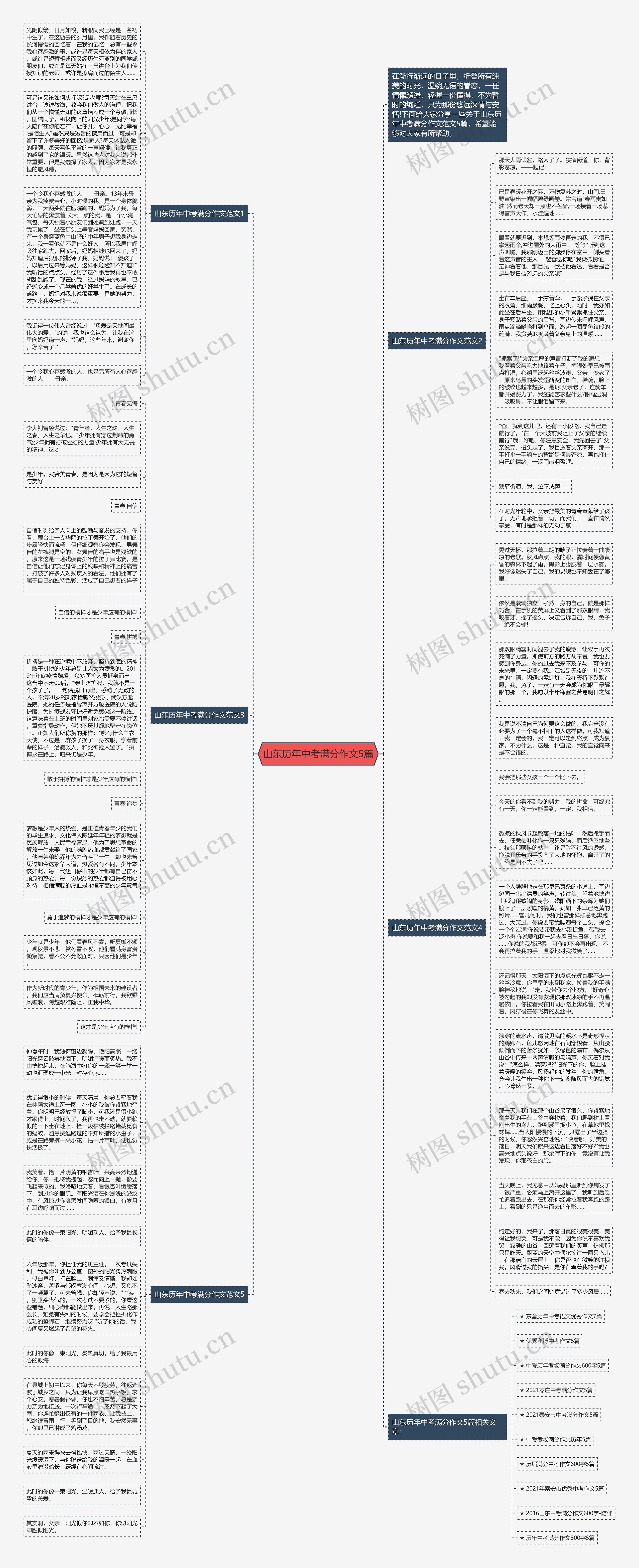 山东历年中考满分作文5篇思维导图