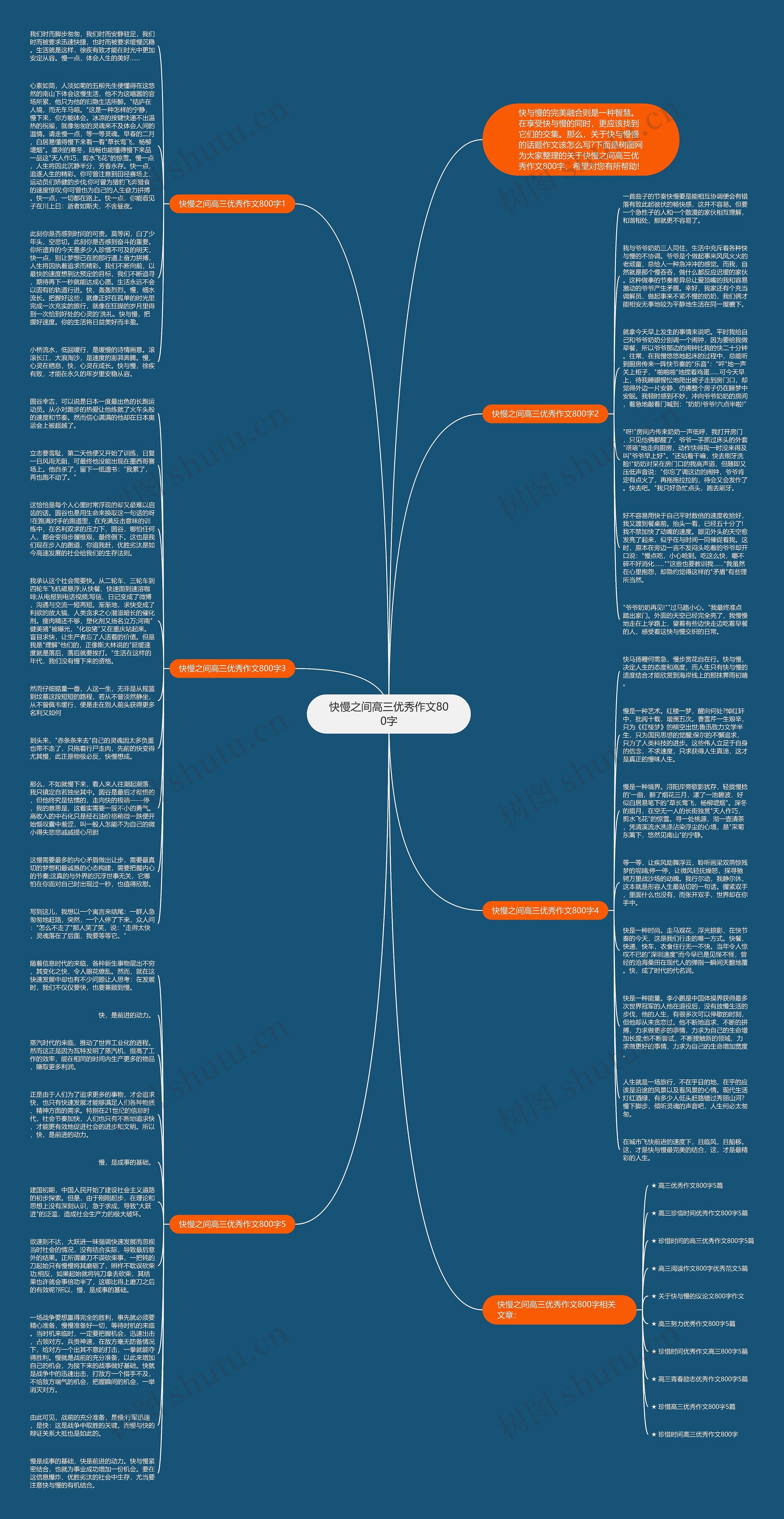快慢之间高三优秀作文800字思维导图