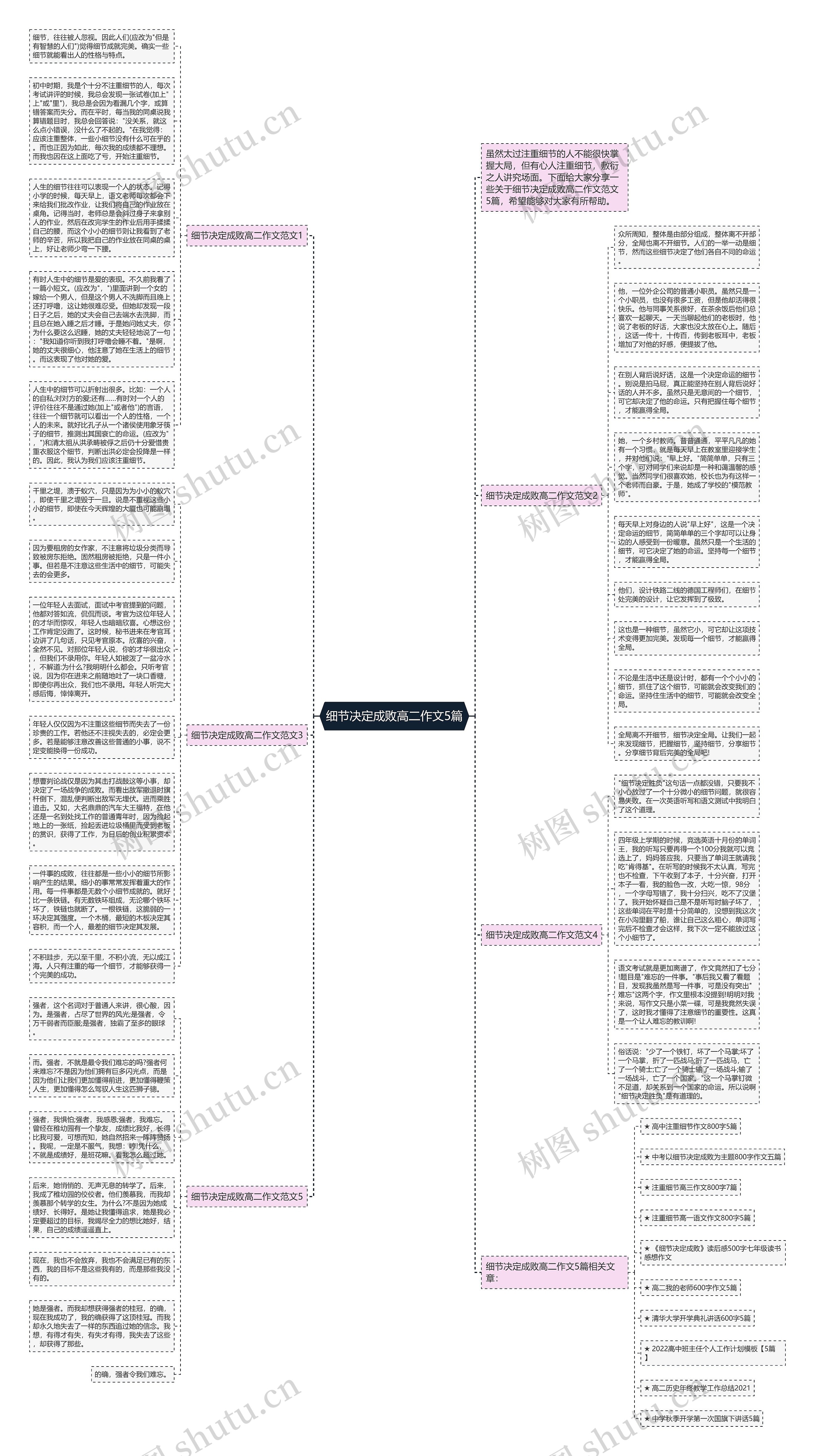 细节决定成败高二作文5篇思维导图