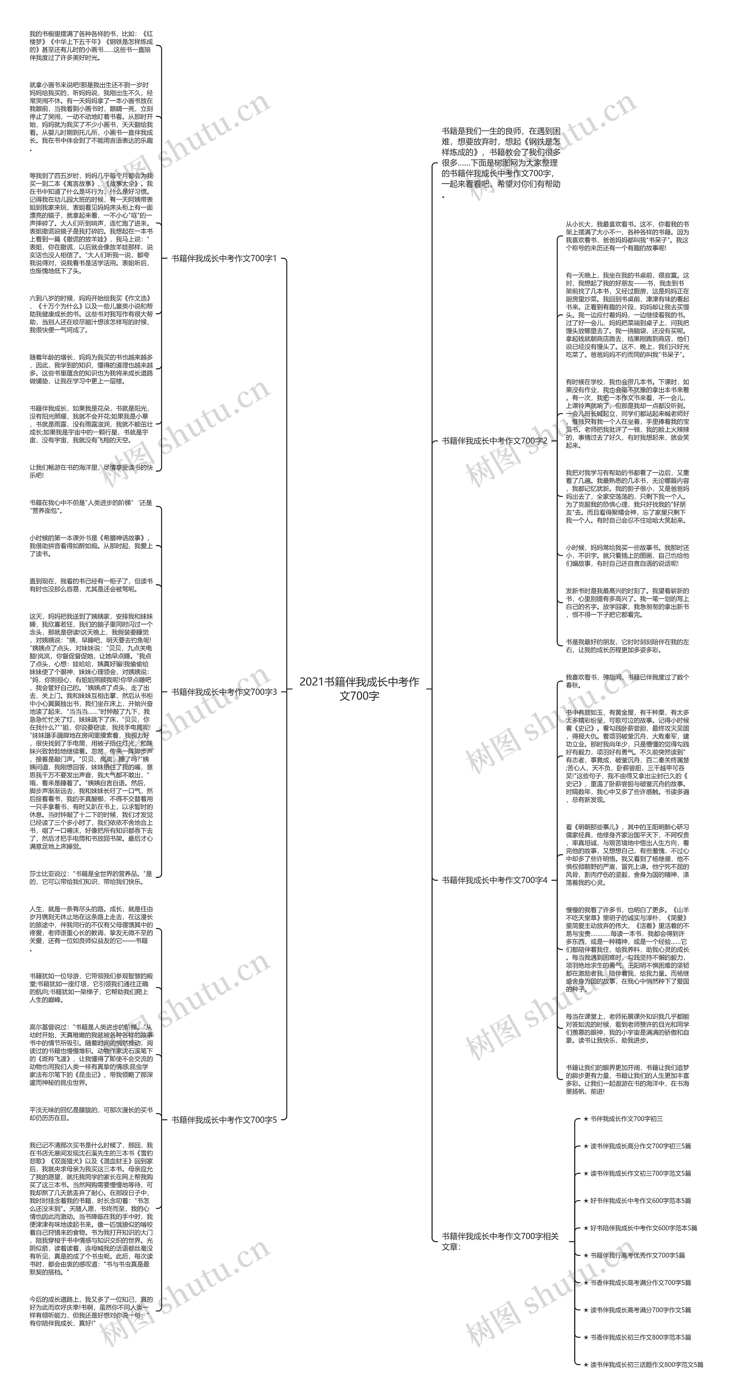 2021书籍伴我成长中考作文700字思维导图