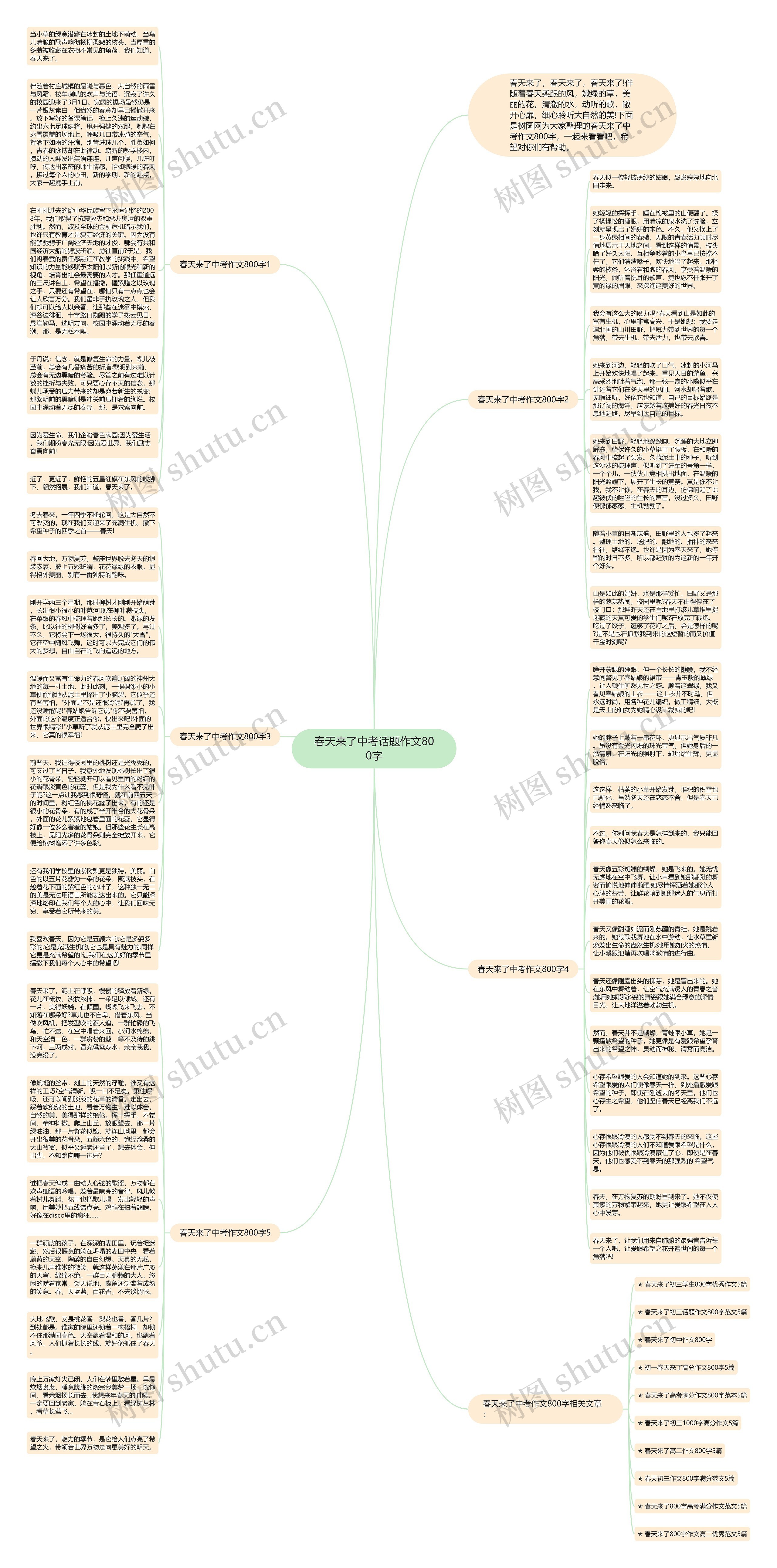 春天来了中考话题作文800字思维导图
