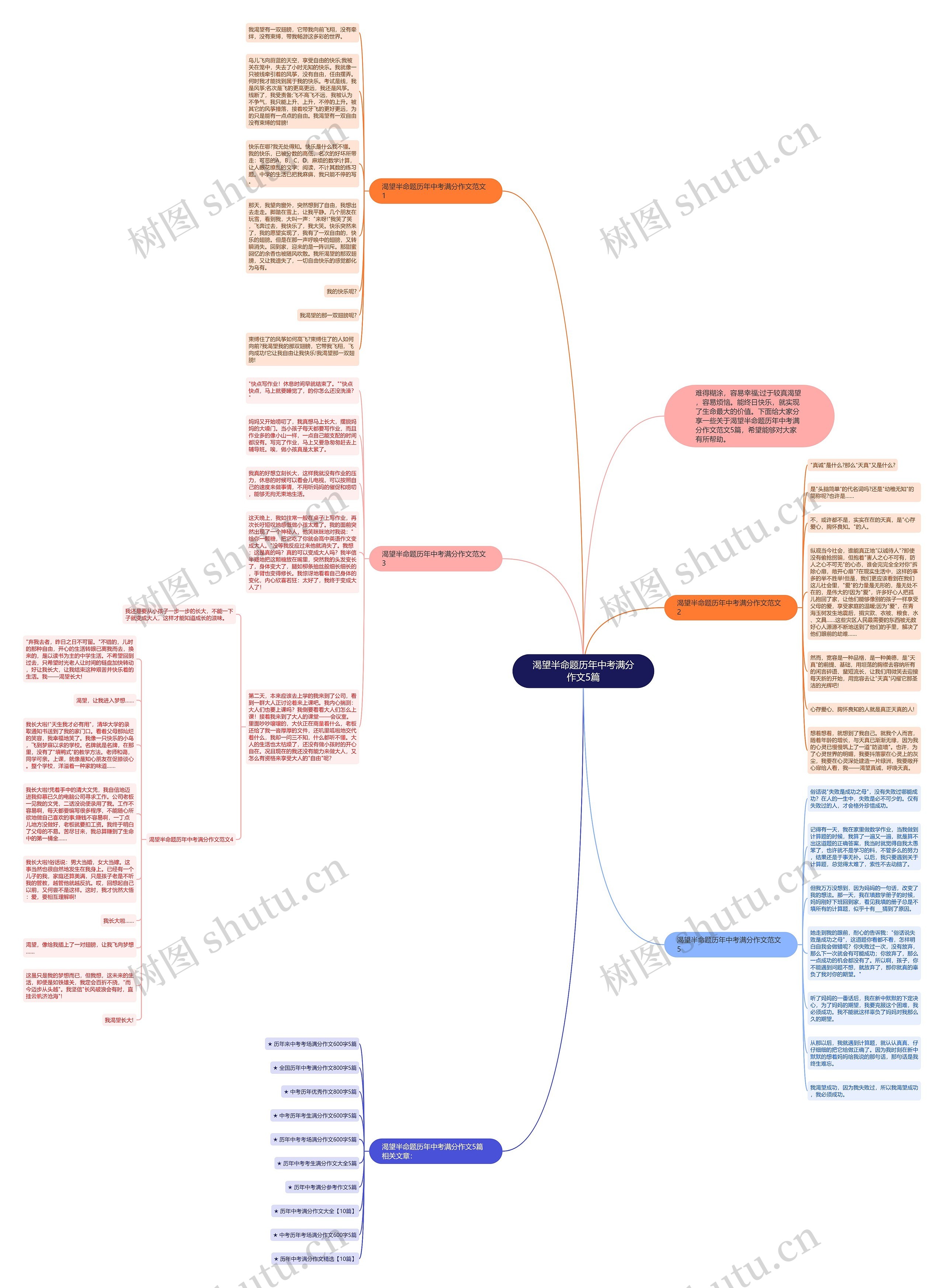 渴望半命题历年中考满分作文5篇思维导图