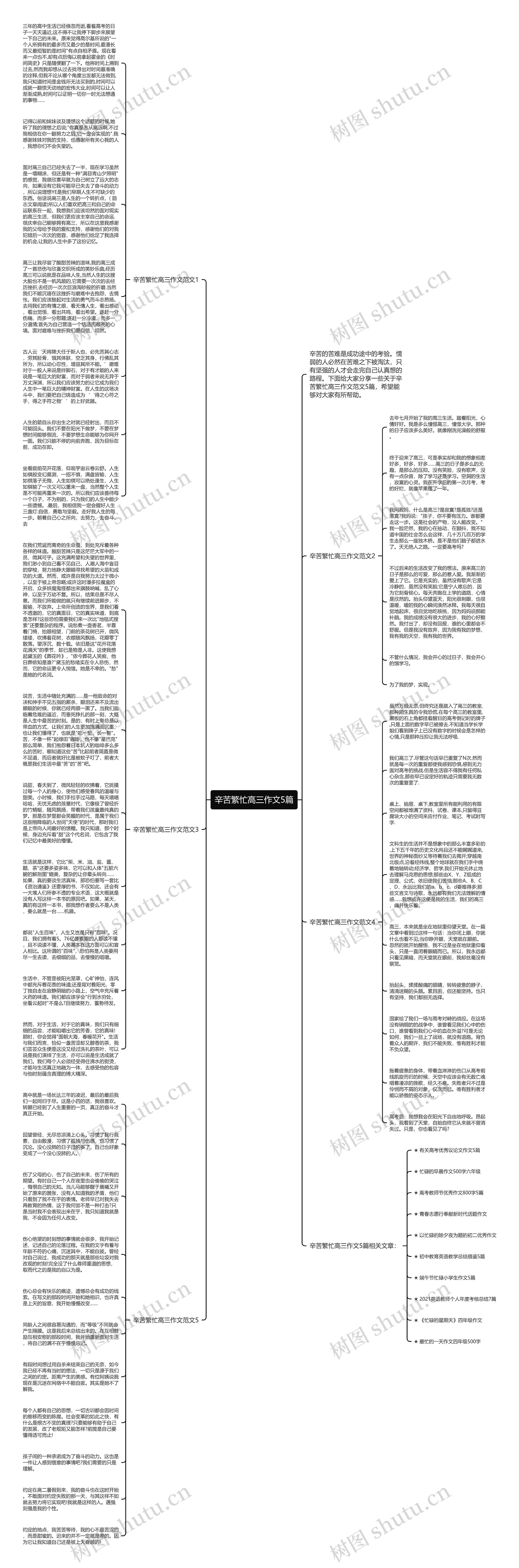 辛苦繁忙高三作文5篇思维导图