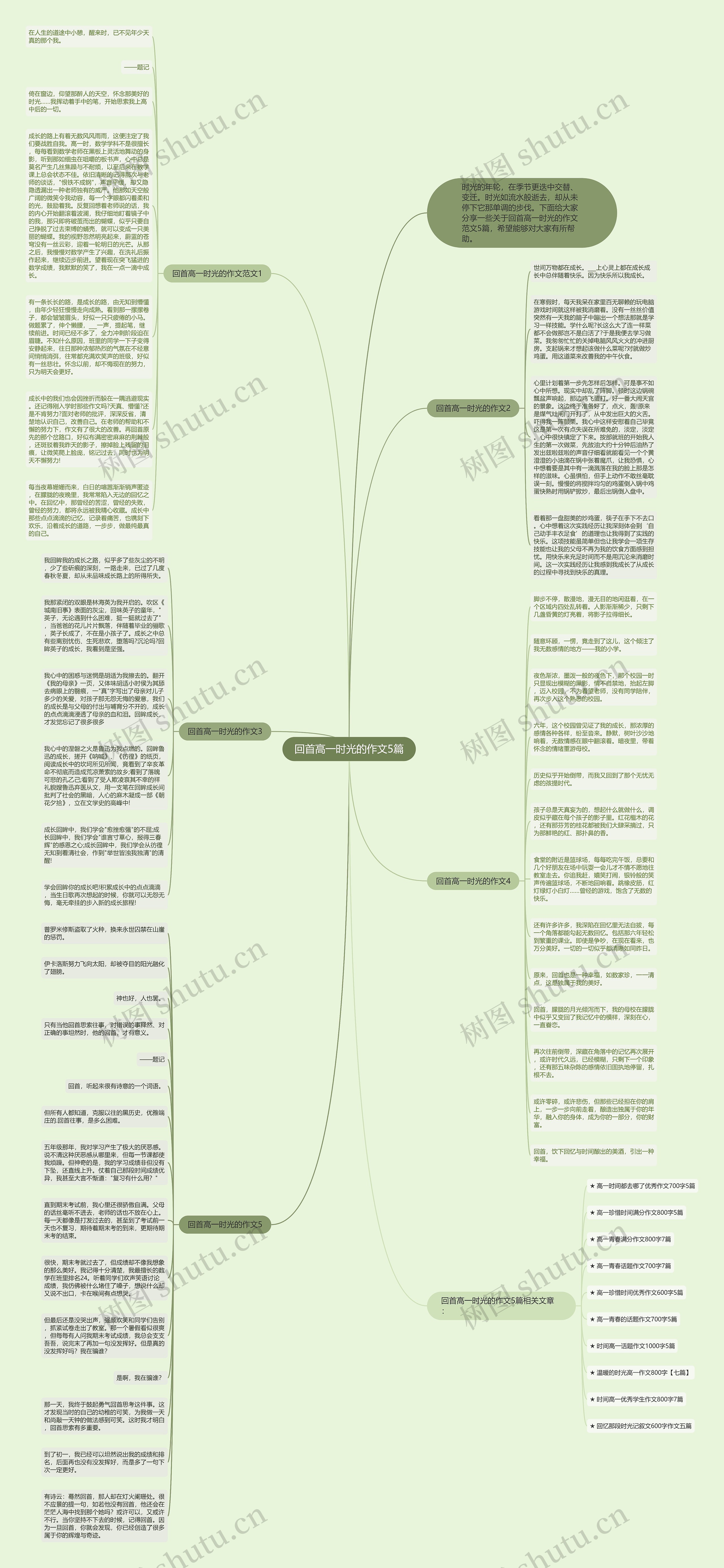 回首高一时光的作文5篇思维导图