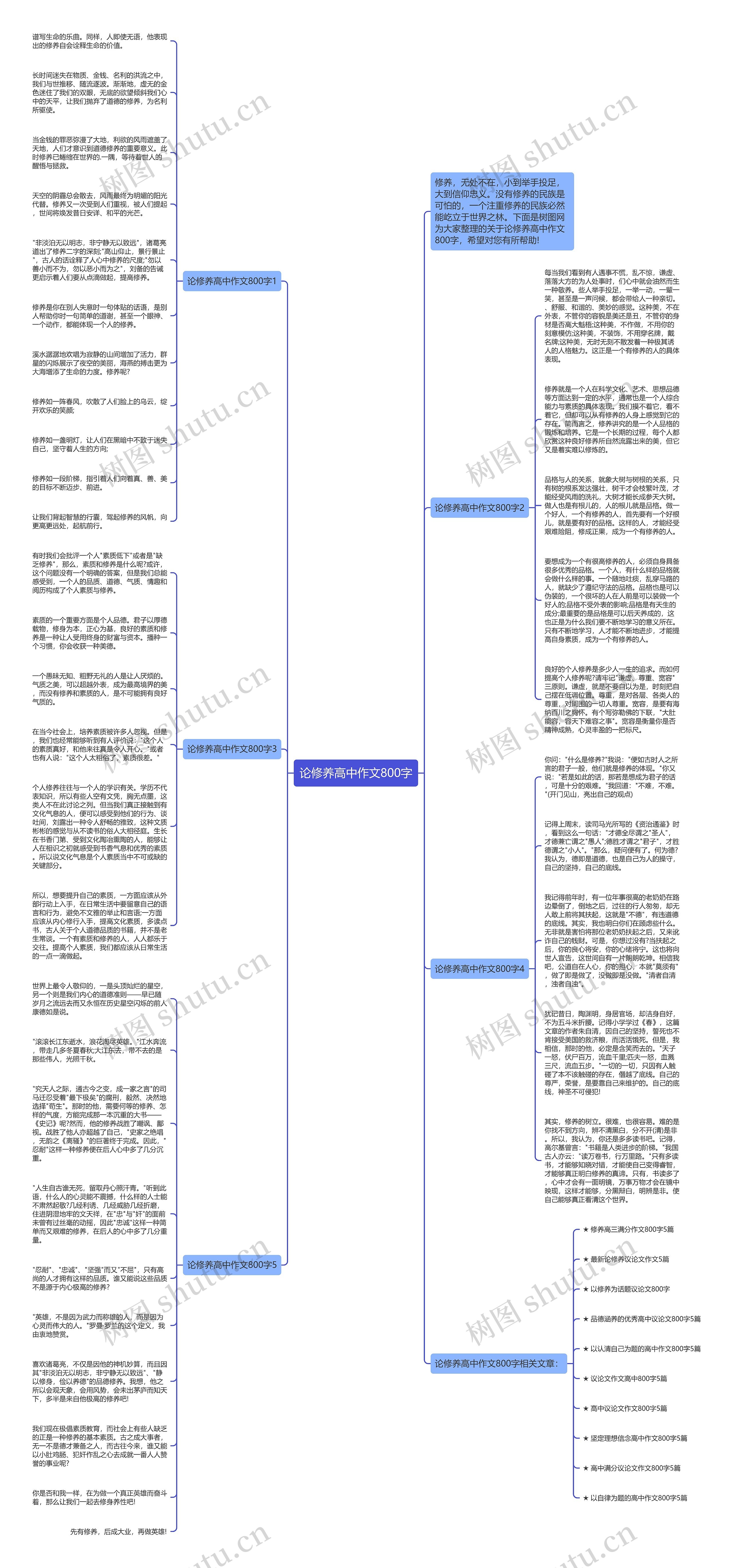 论修养高中作文800字思维导图