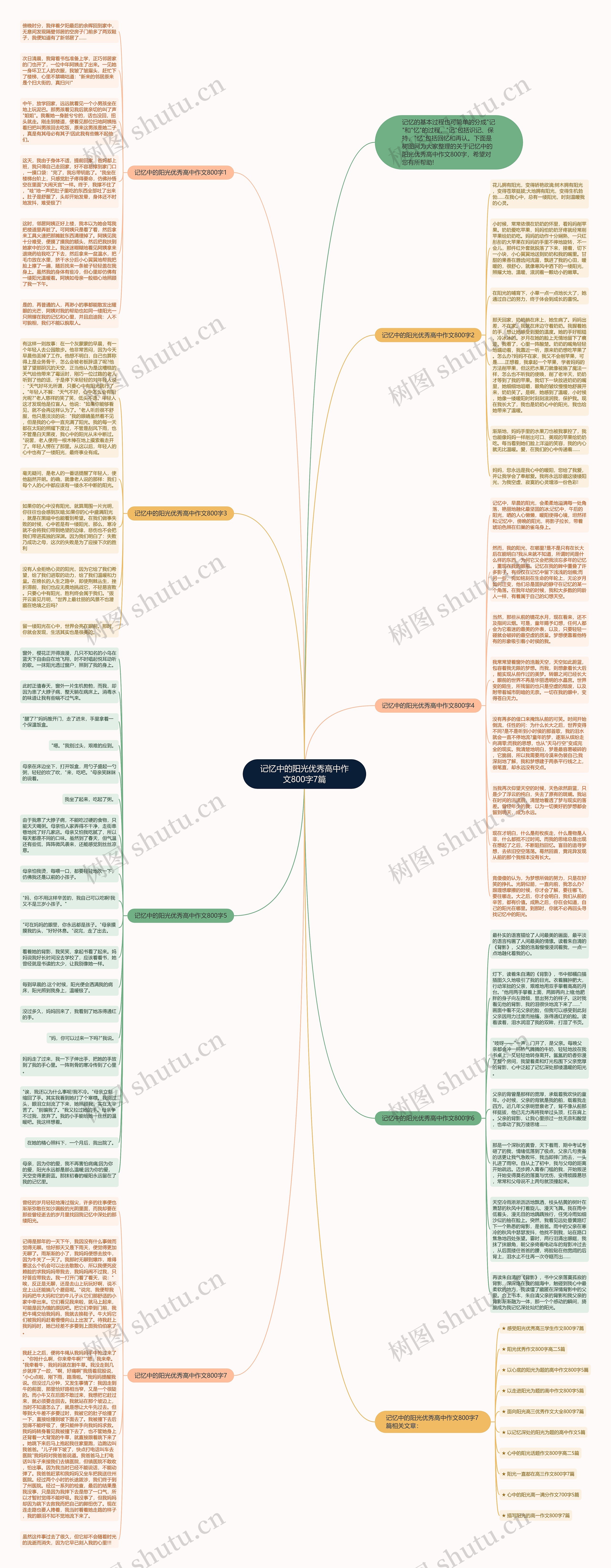 记忆中的阳光优秀高中作文800字7篇思维导图