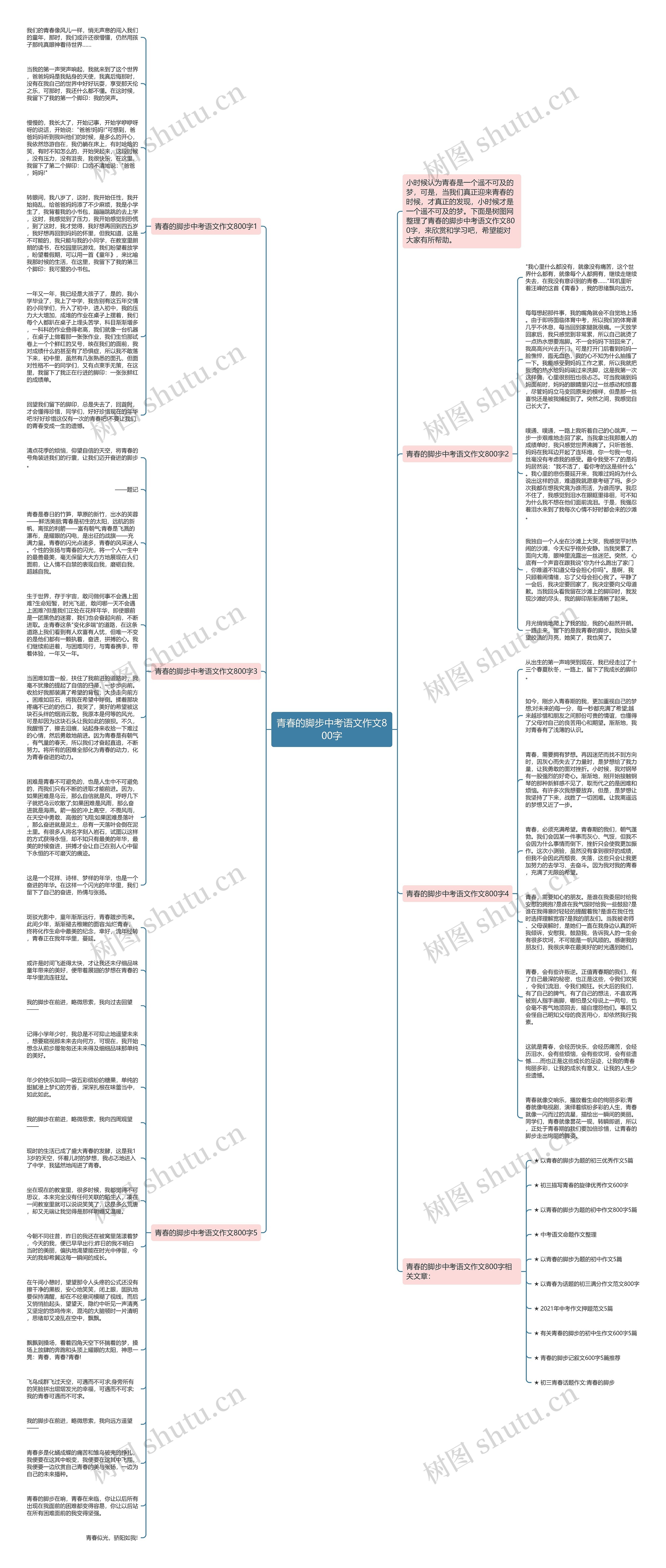 青春的脚步中考语文作文800字思维导图