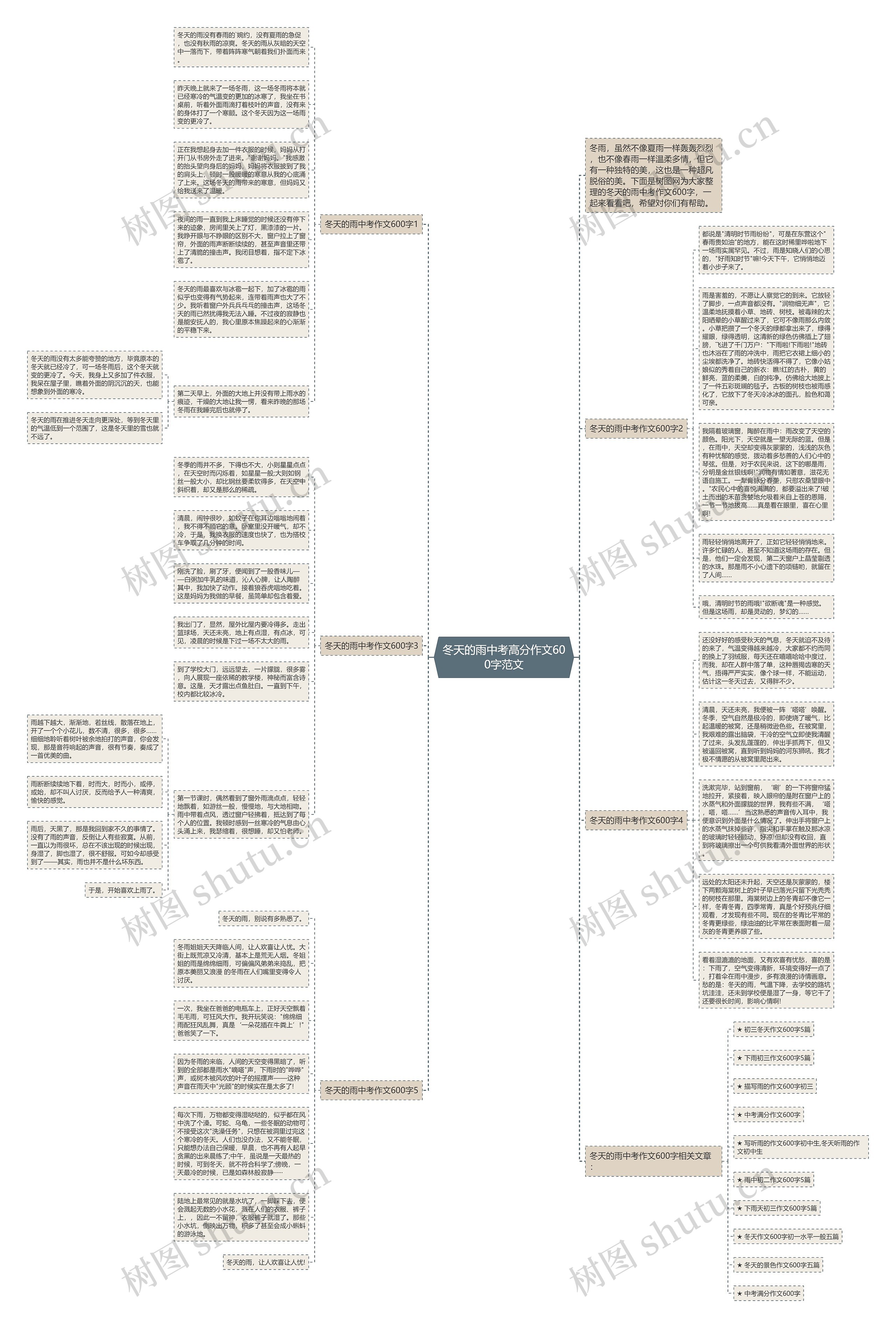 冬天的雨中考高分作文600字范文思维导图
