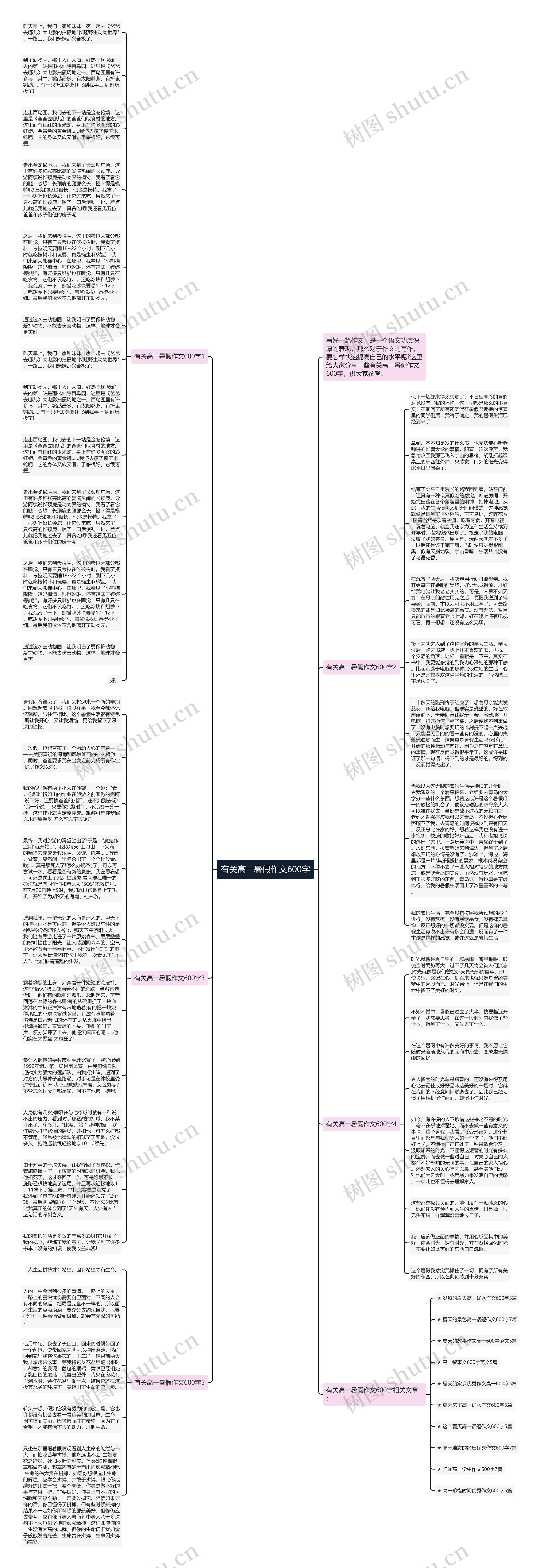 有关高一暑假作文600字思维导图