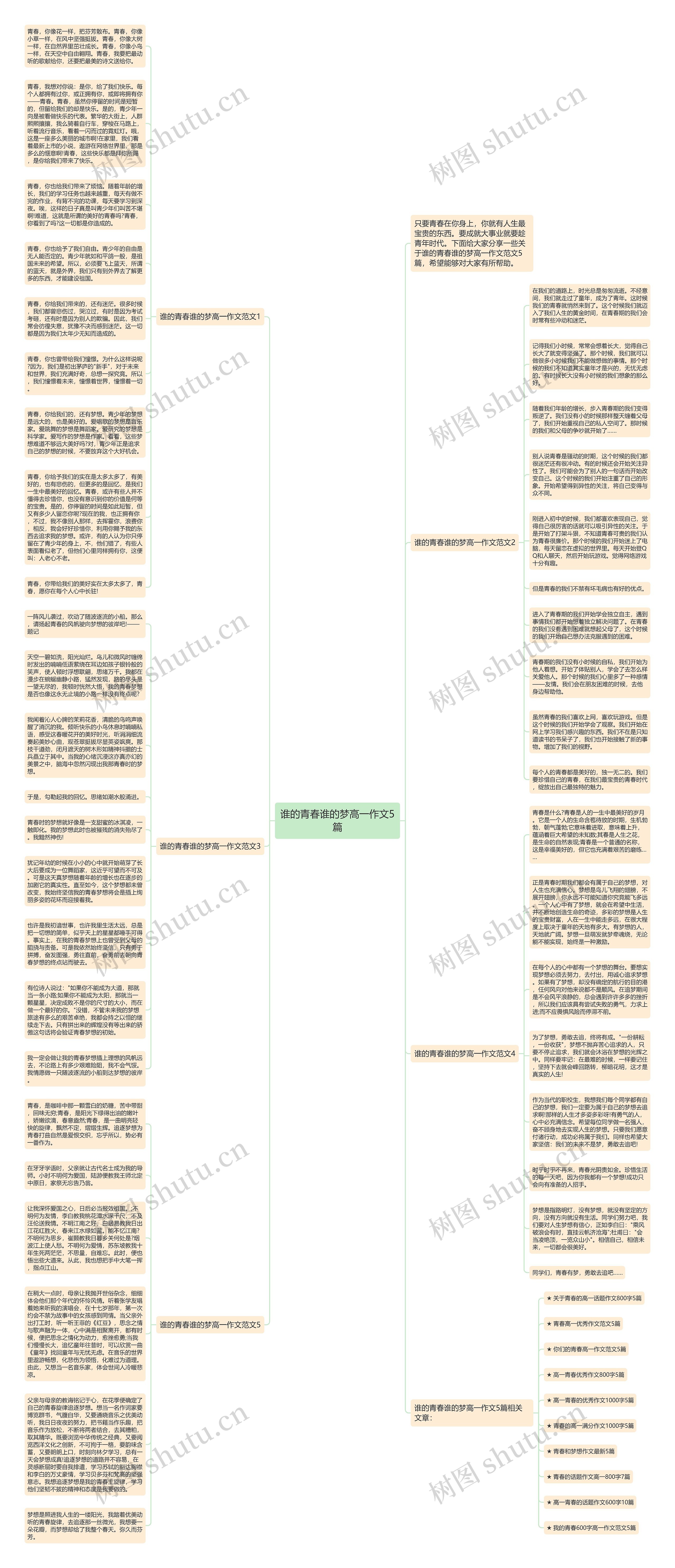 谁的青春谁的梦高一作文5篇思维导图