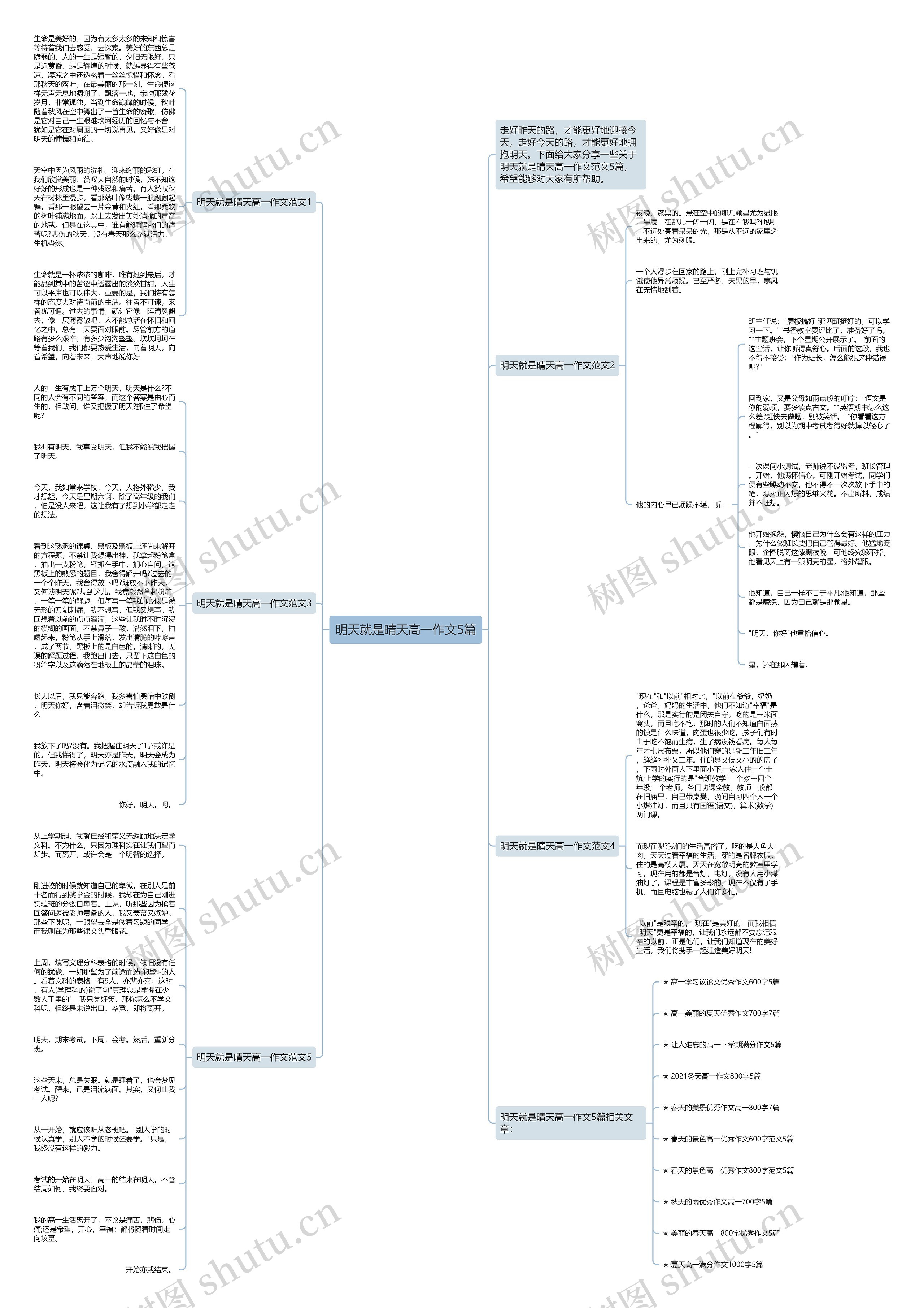 明天就是晴天高一作文5篇思维导图