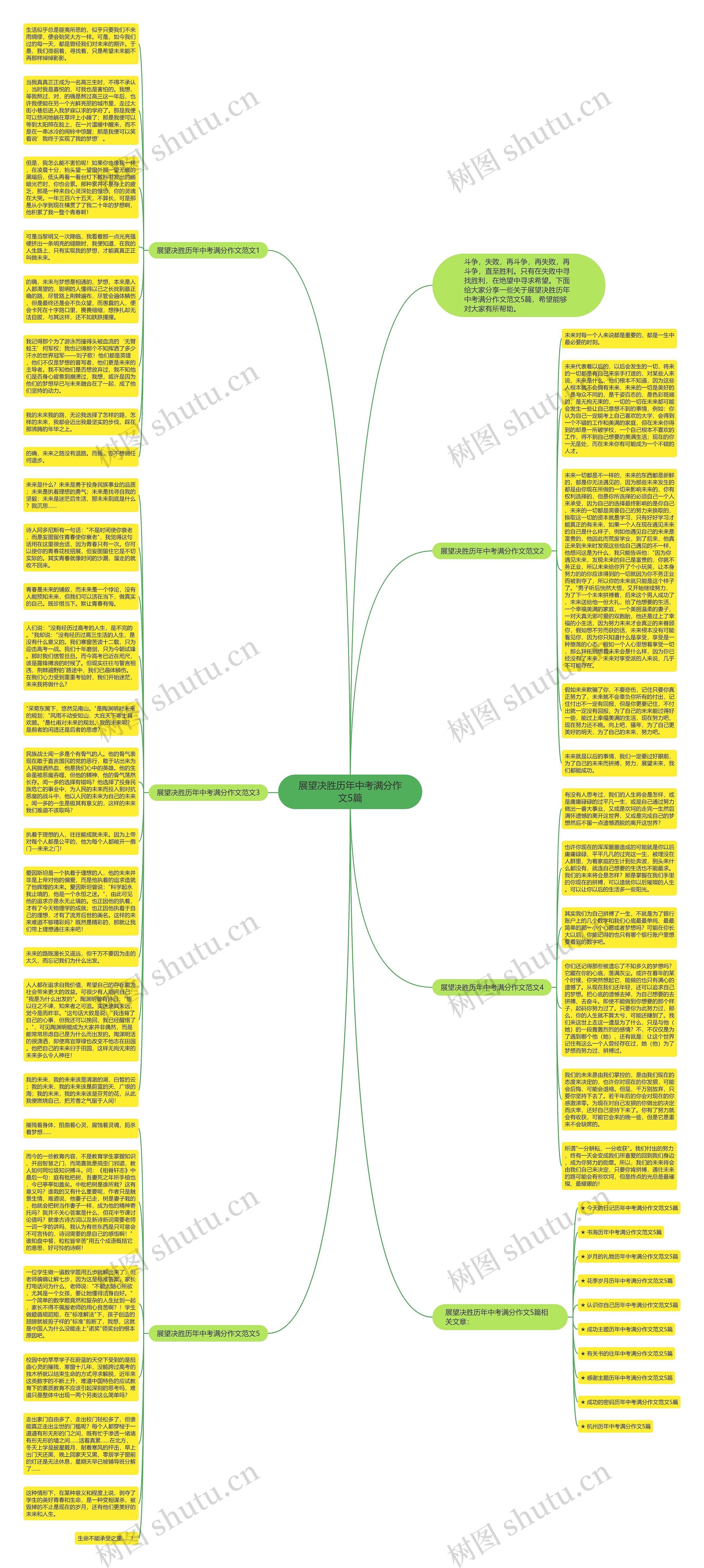 展望决胜历年中考满分作文5篇思维导图