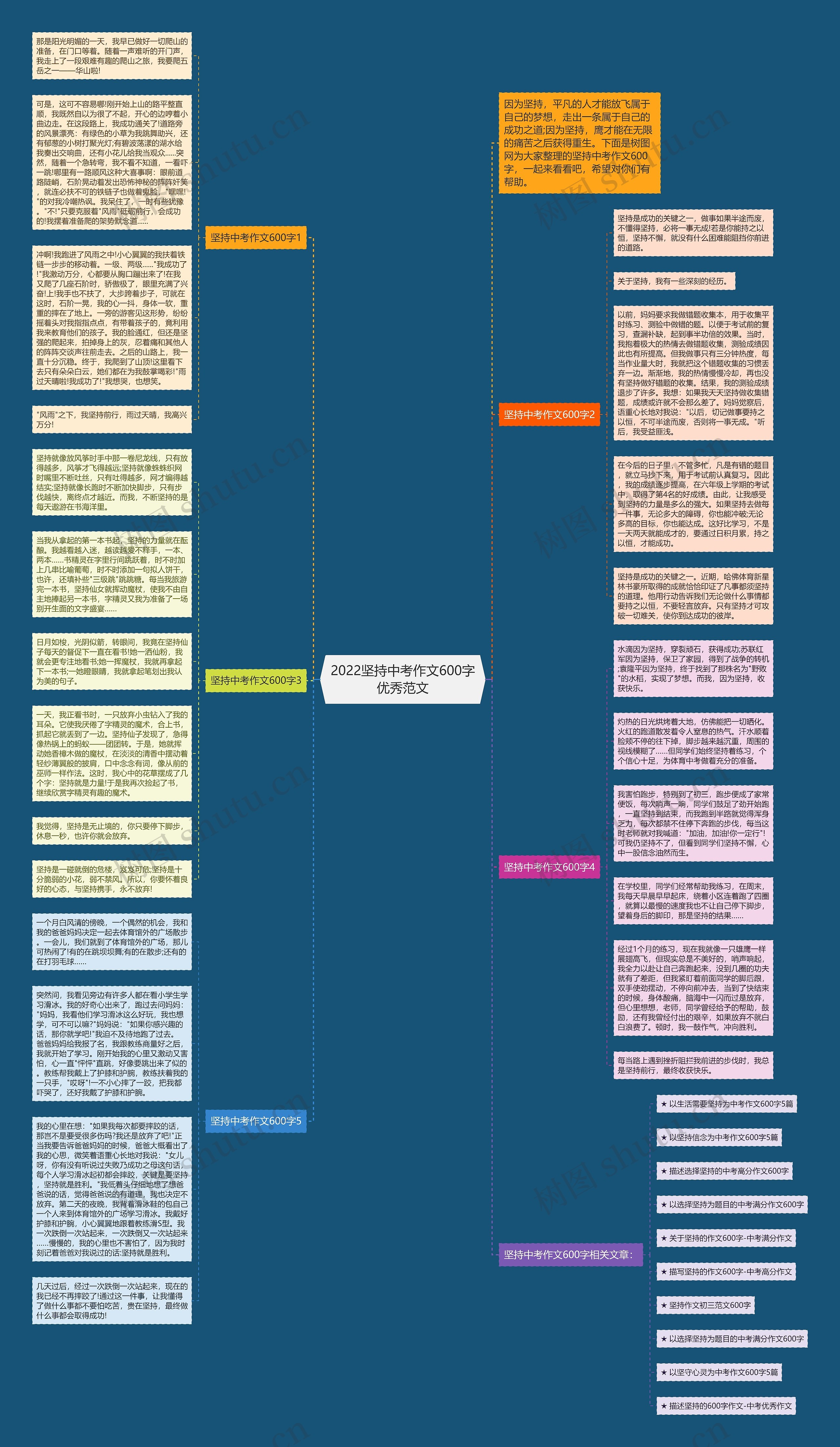 2022坚持中考作文600字优秀范文思维导图
