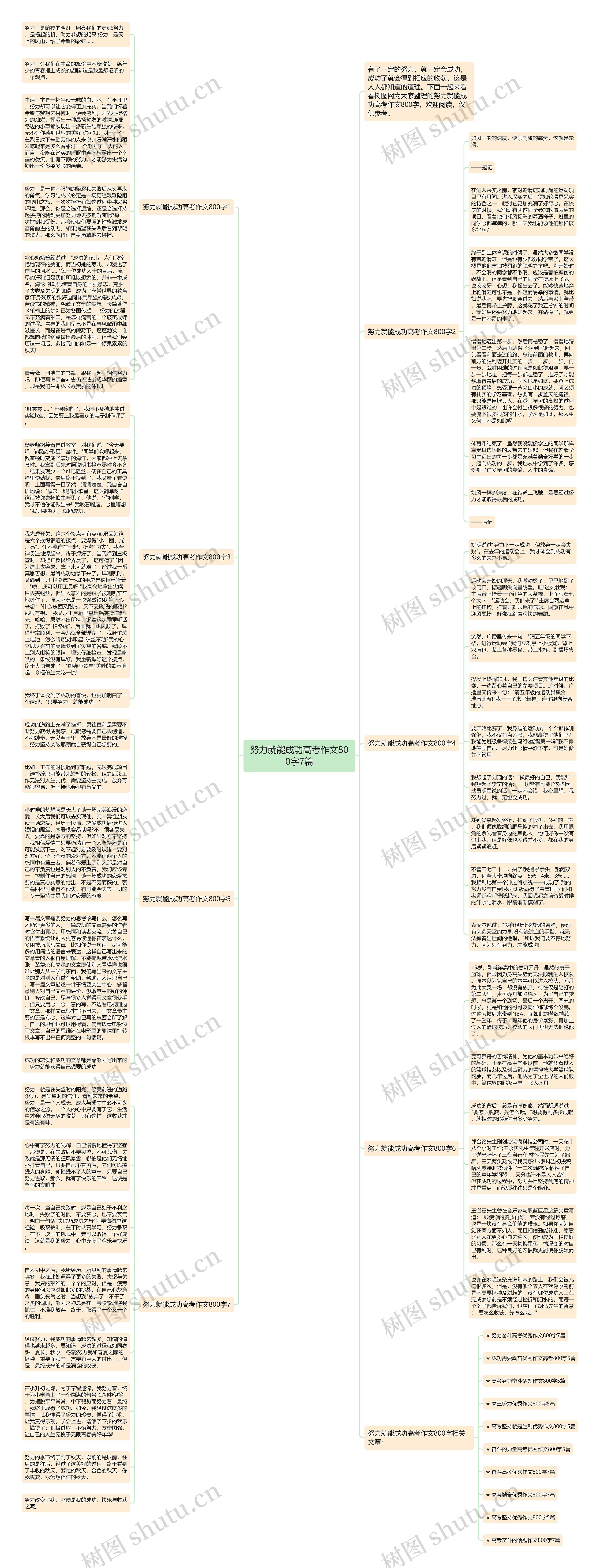 努力就能成功高考作文800字7篇