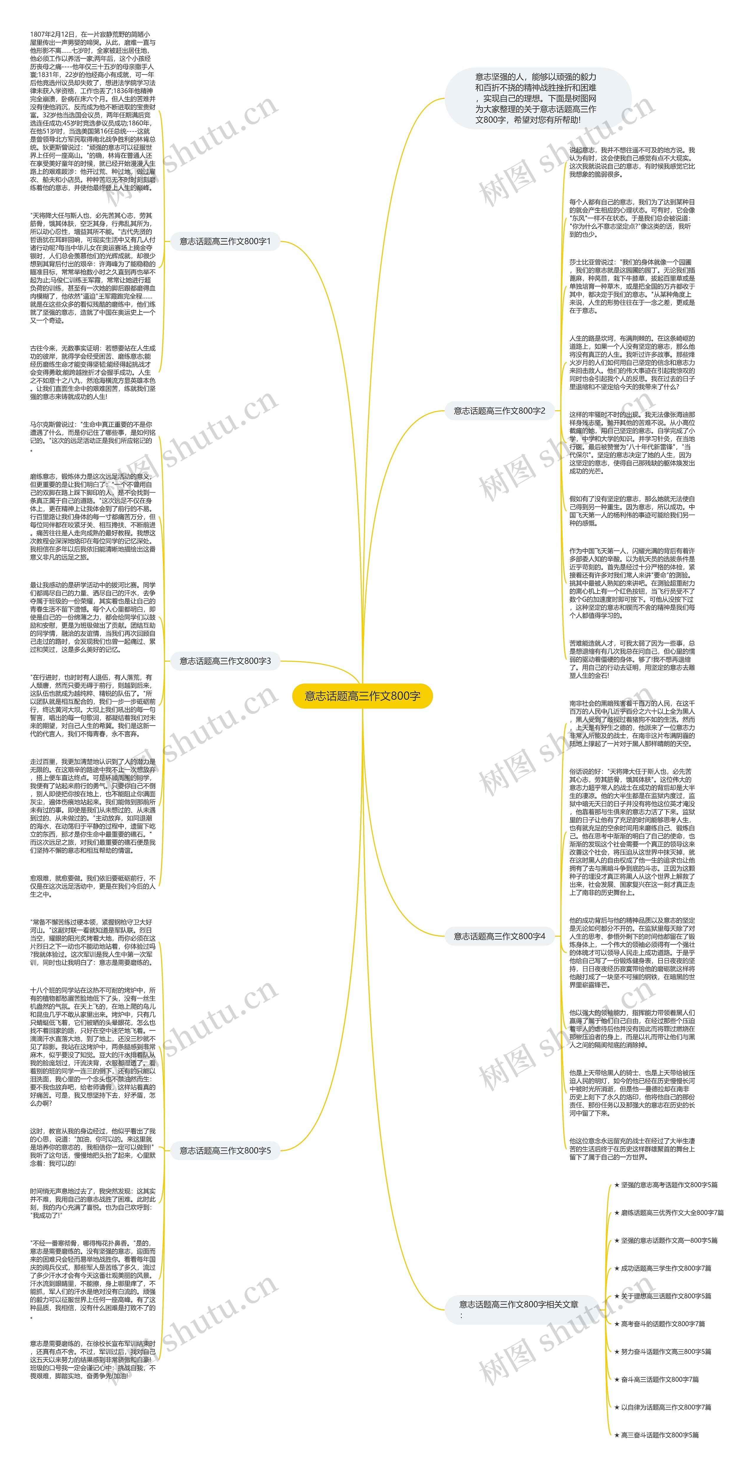 意志话题高三作文800字思维导图