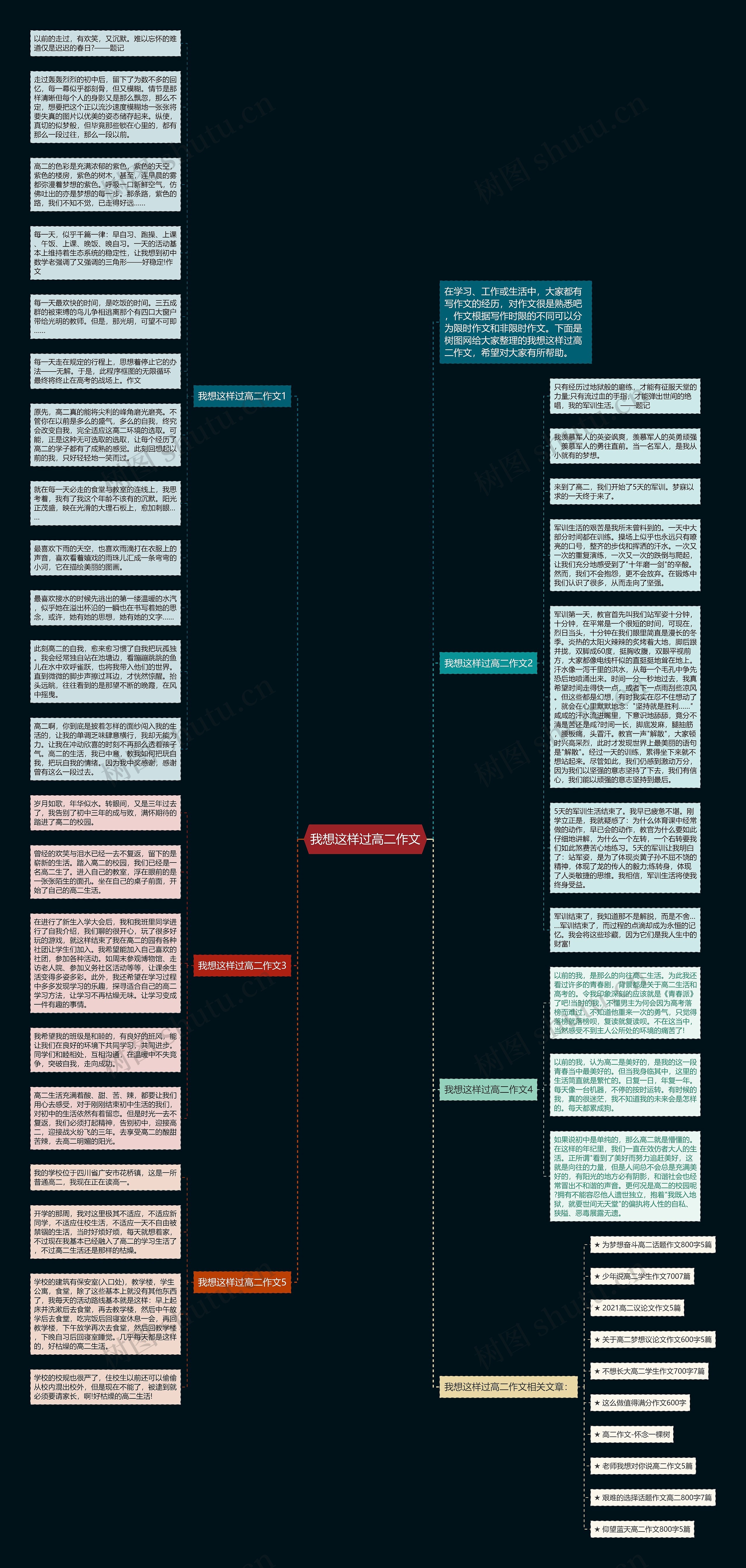 我想这样过高二作文思维导图