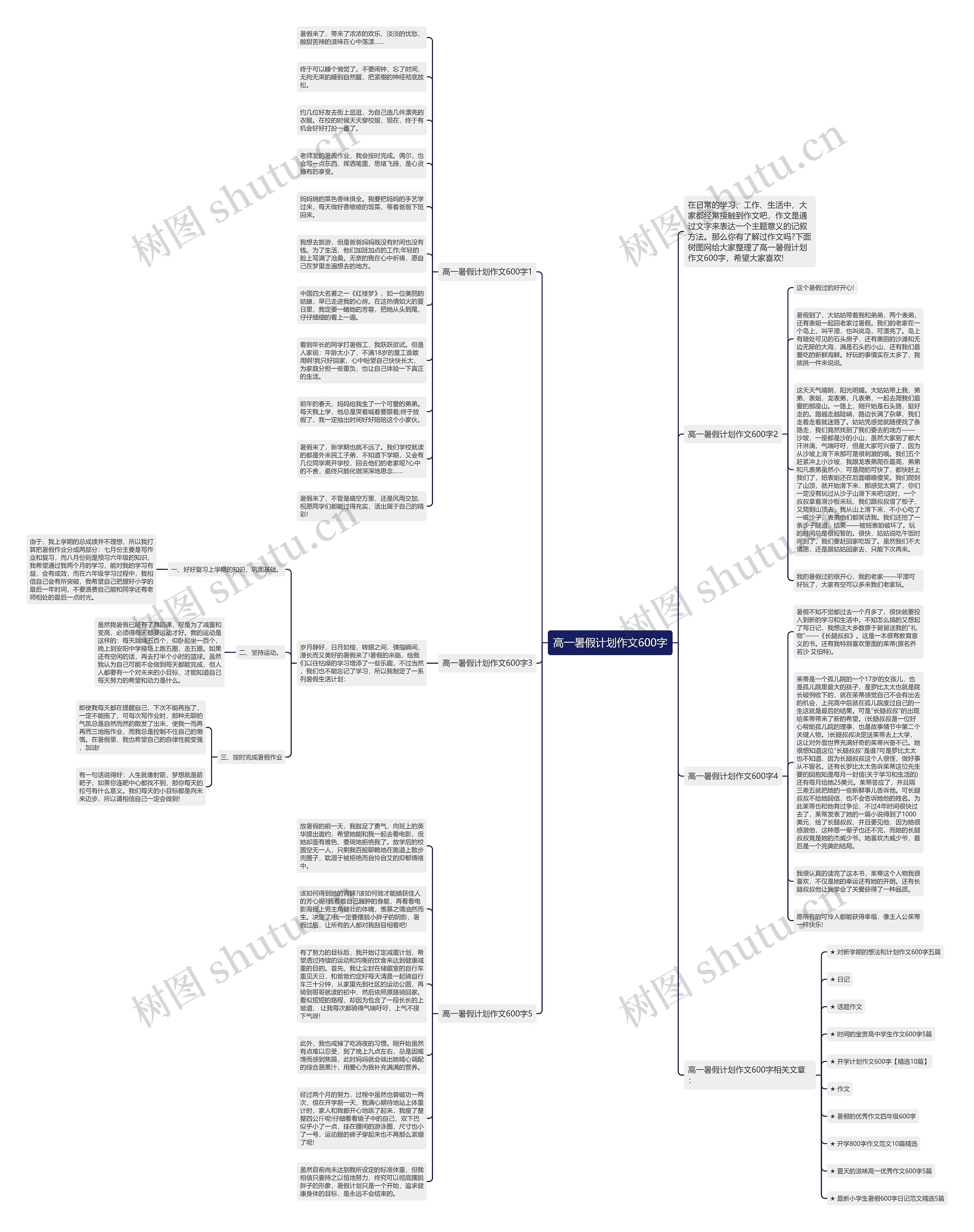 高一暑假计划作文600字思维导图