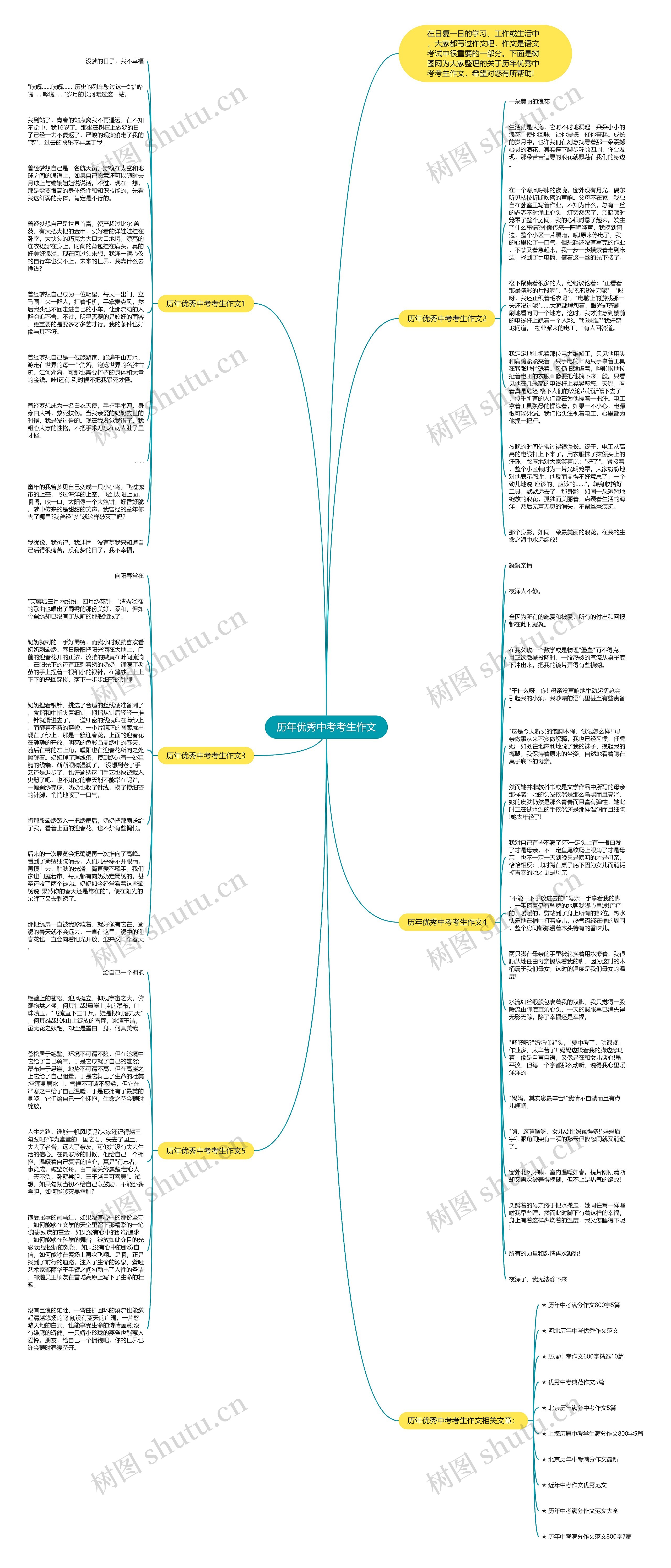 历年优秀中考考生作文思维导图