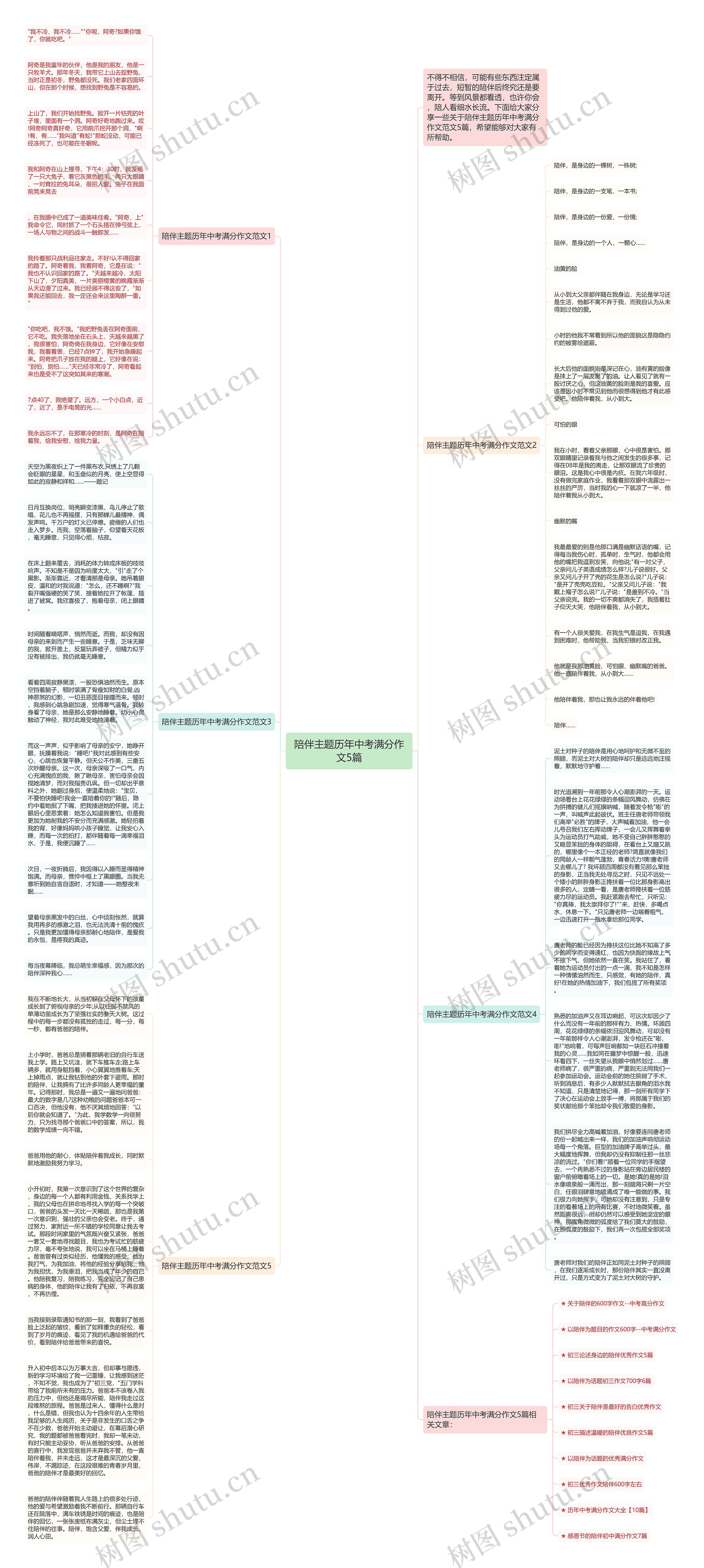 陪伴主题历年中考满分作文5篇思维导图