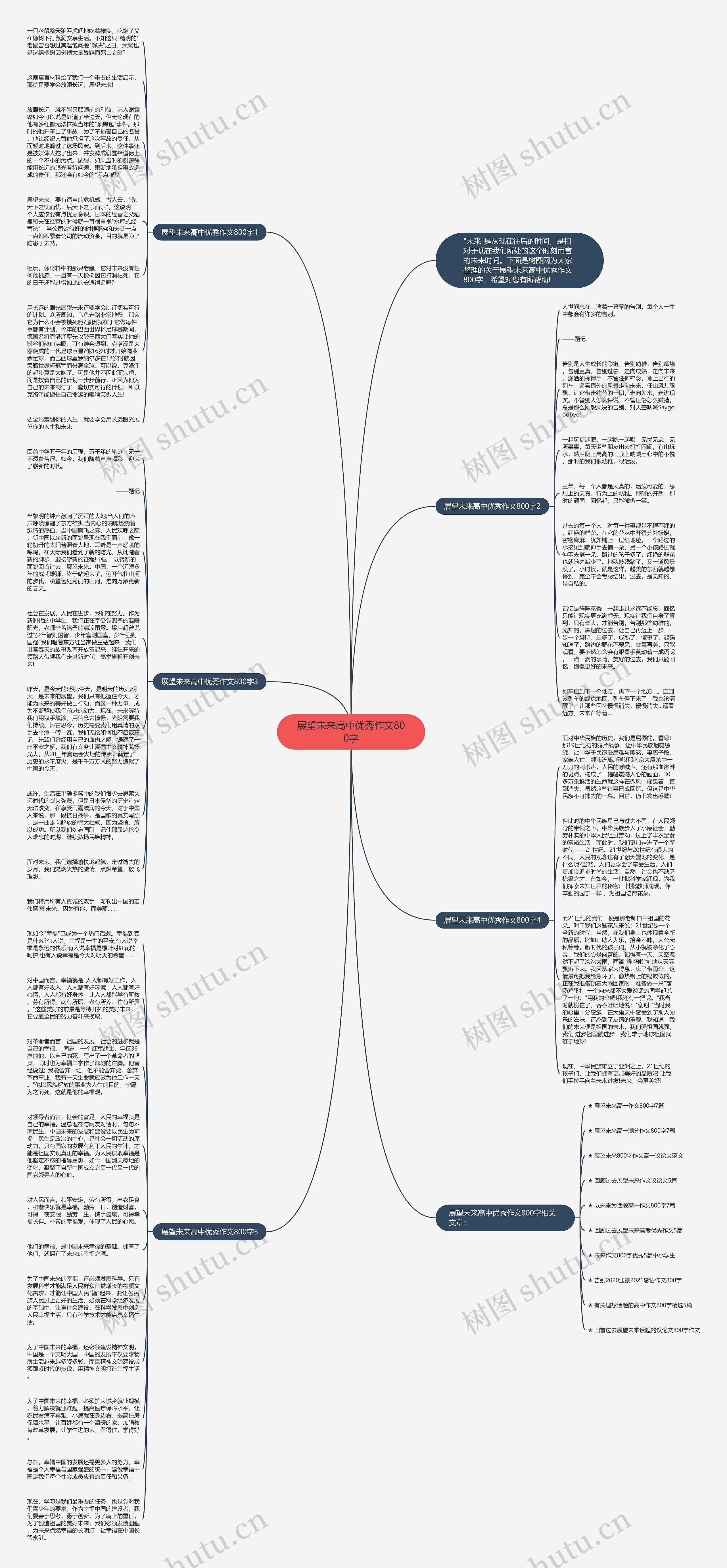 展望未来高中优秀作文800字思维导图