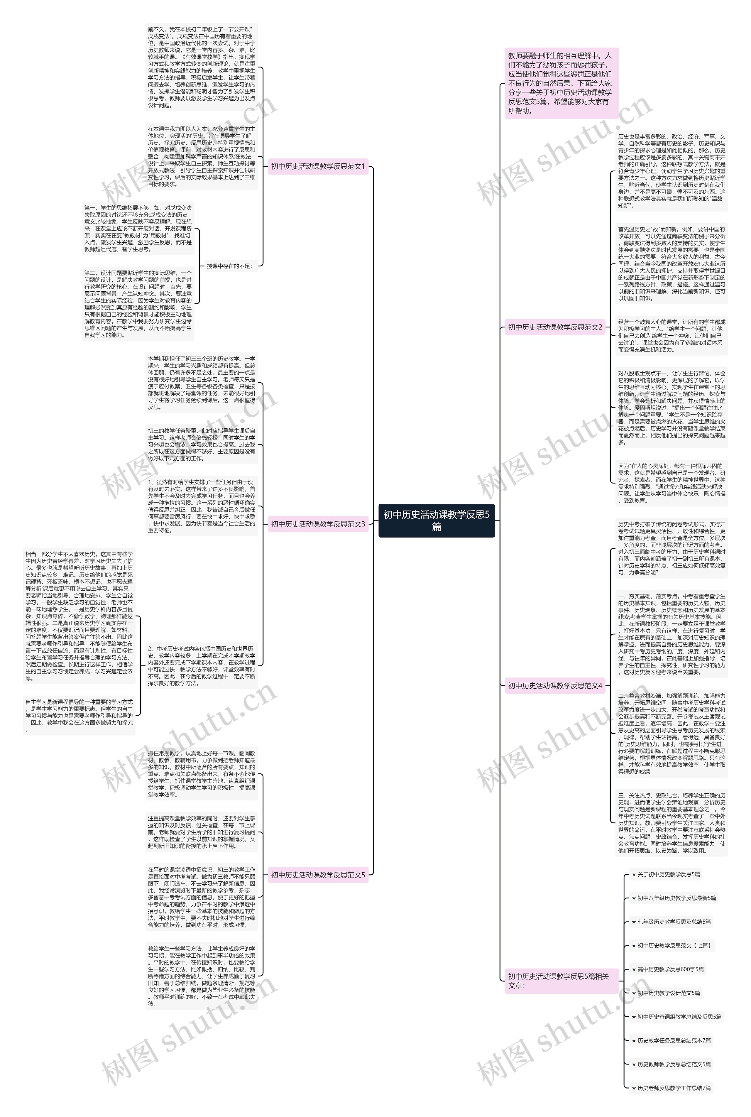 初中历史活动课教学反思5篇思维导图