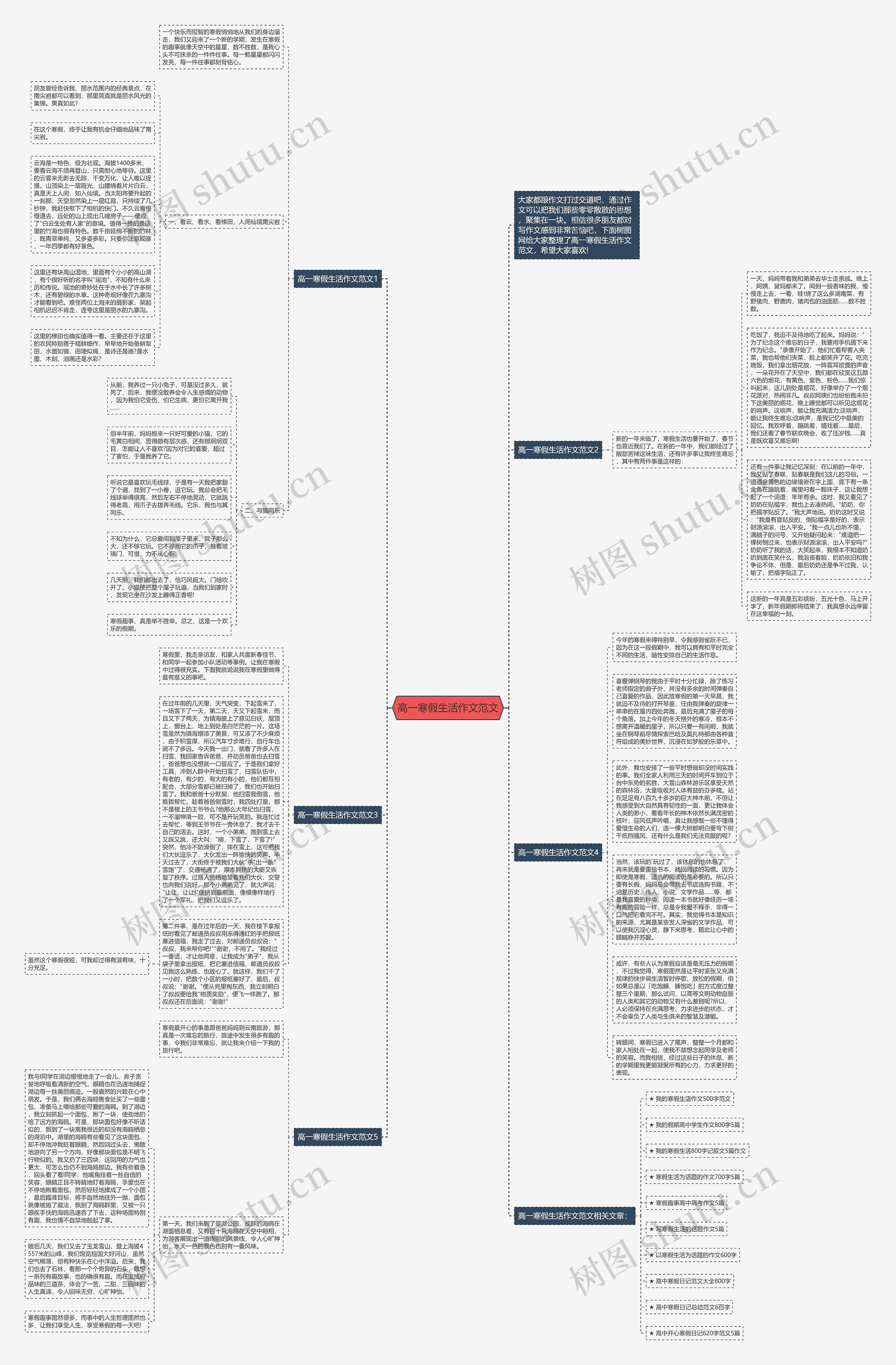 高一寒假生活作文范文思维导图