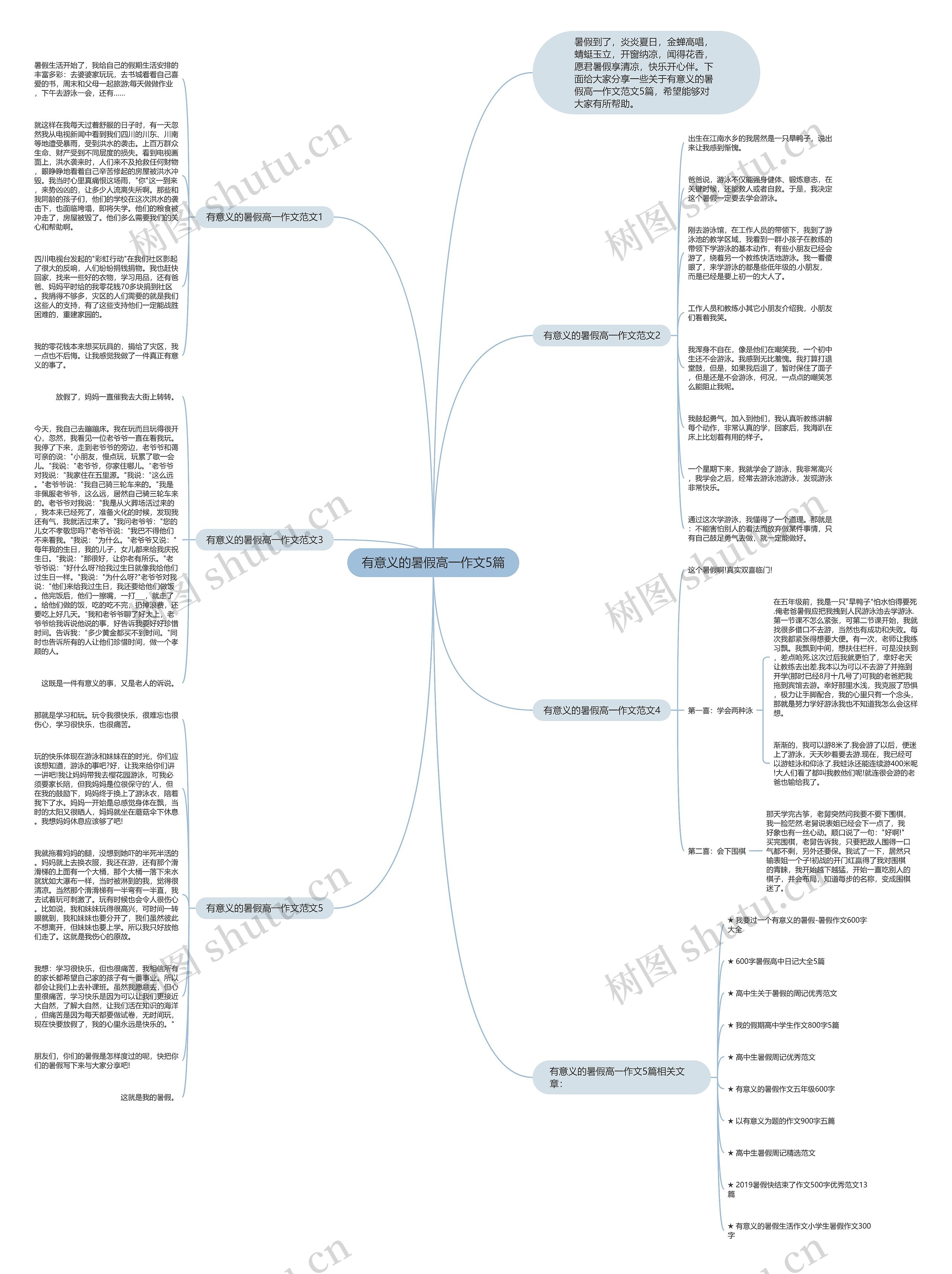 有意义的暑假高一作文5篇思维导图