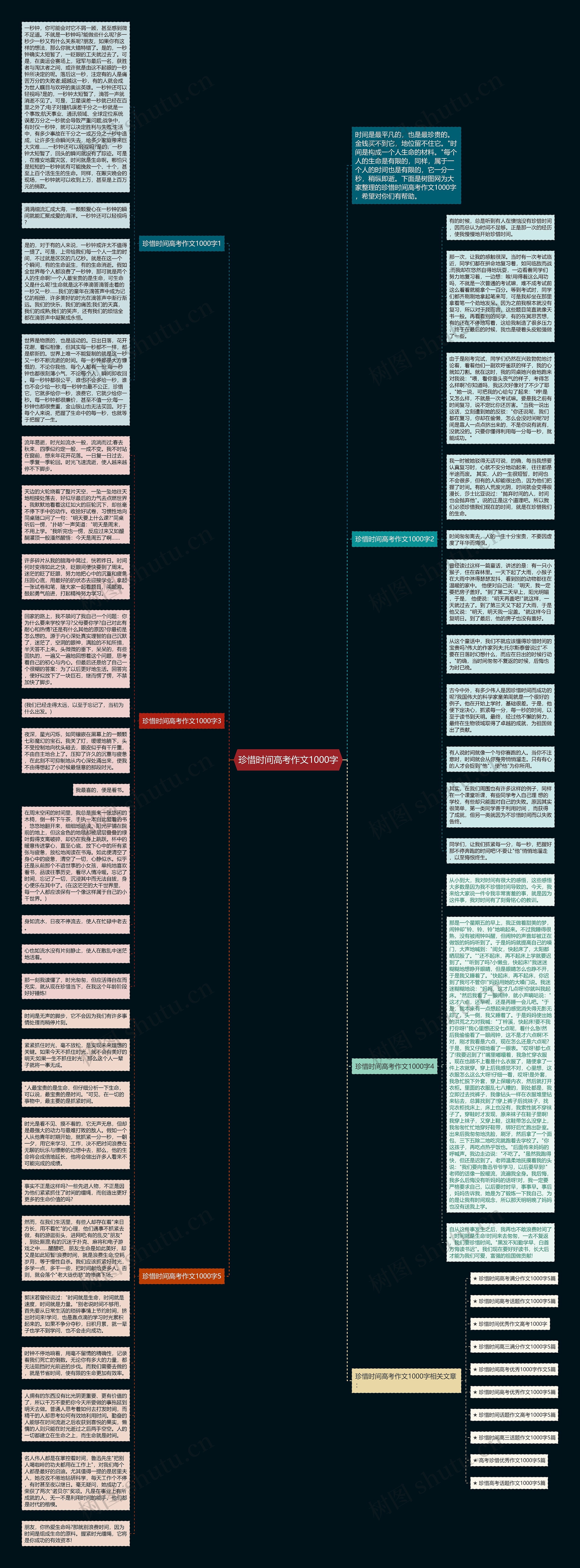 珍惜时间高考作文1000字思维导图