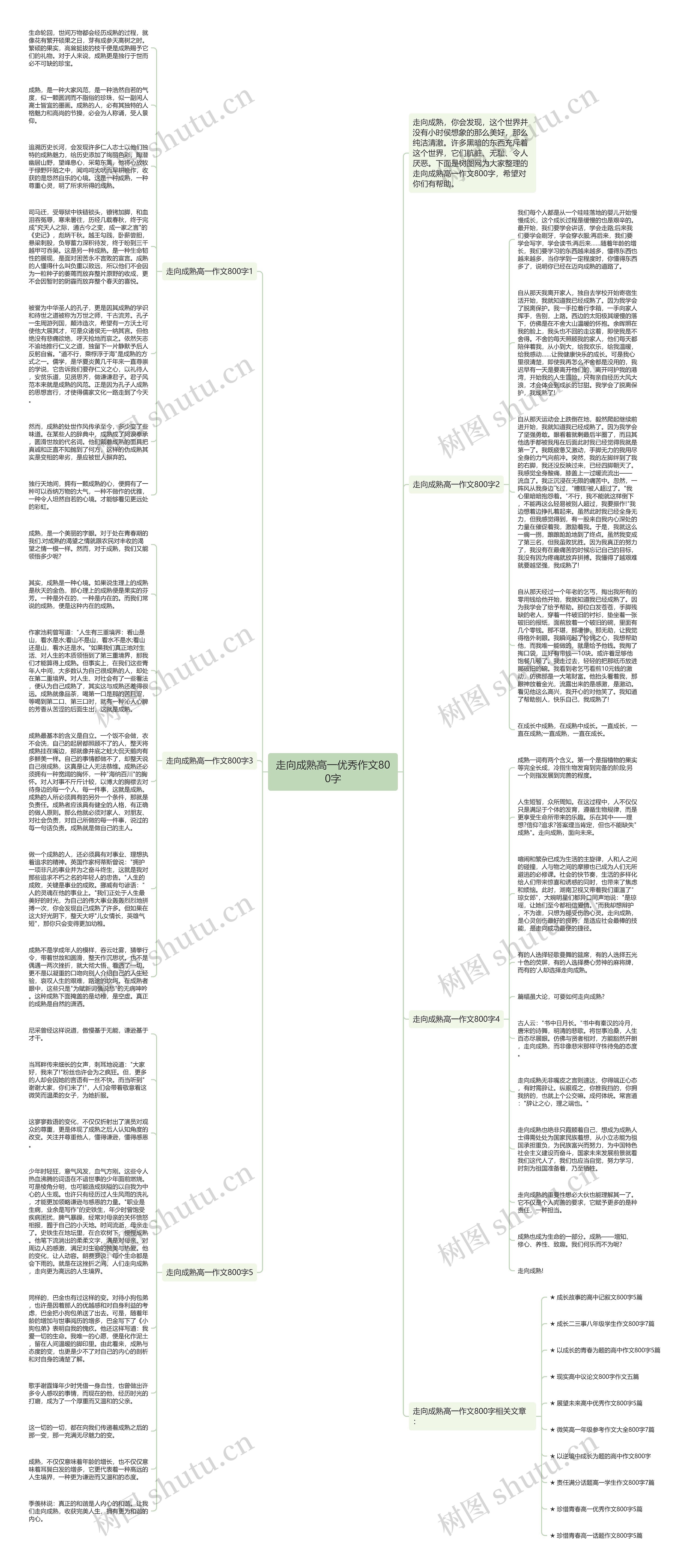 走向成熟高一优秀作文800字思维导图