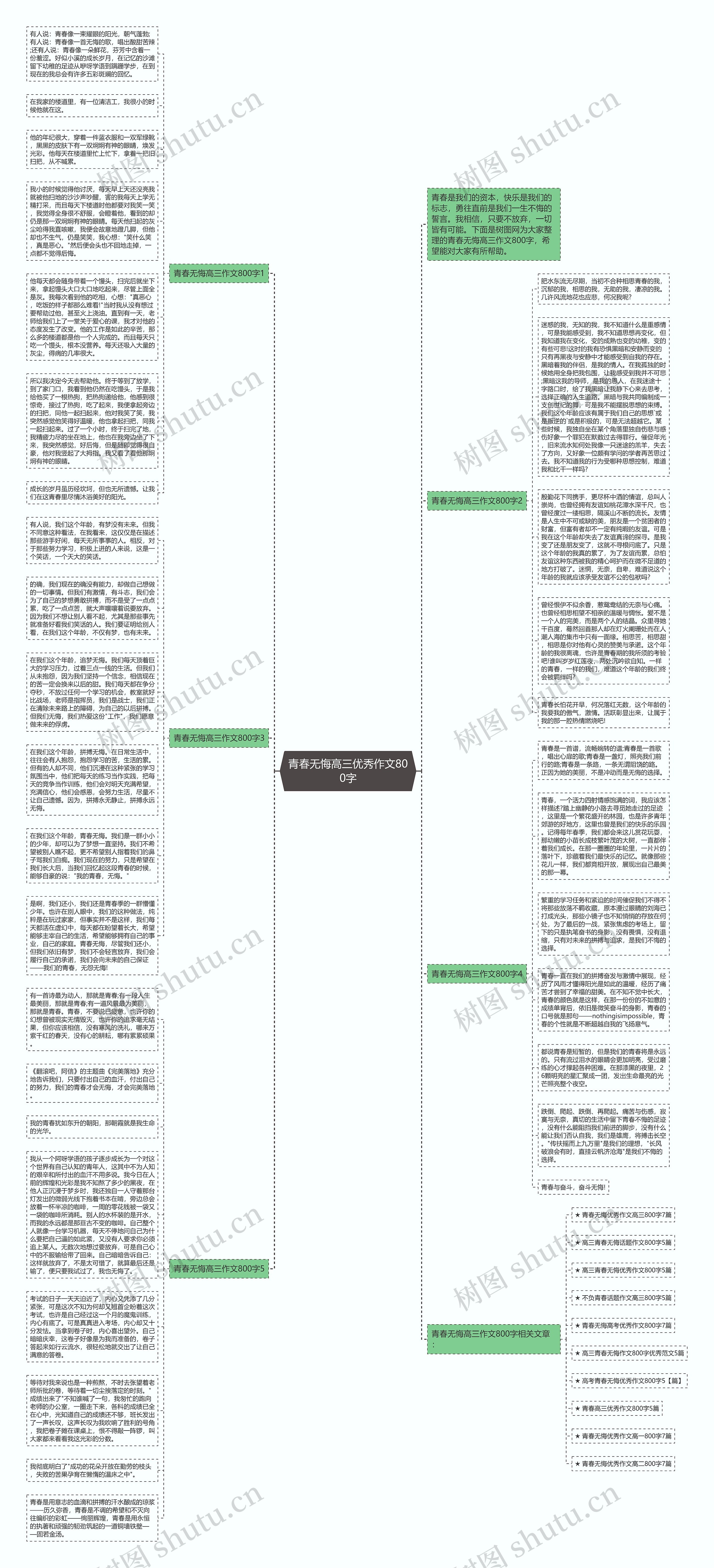 青春无悔高三优秀作文800字思维导图