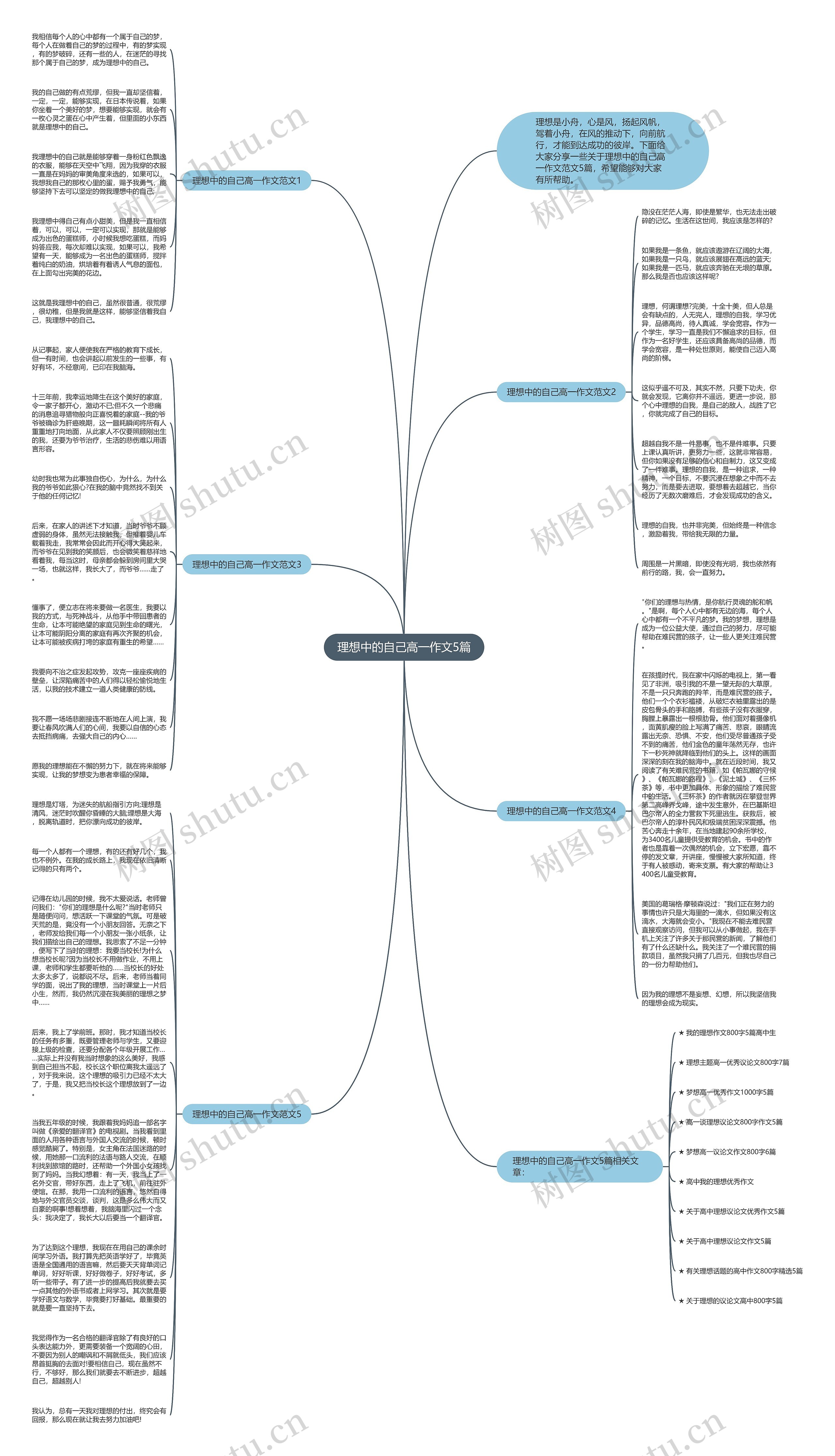 理想中的自己高一作文5篇思维导图
