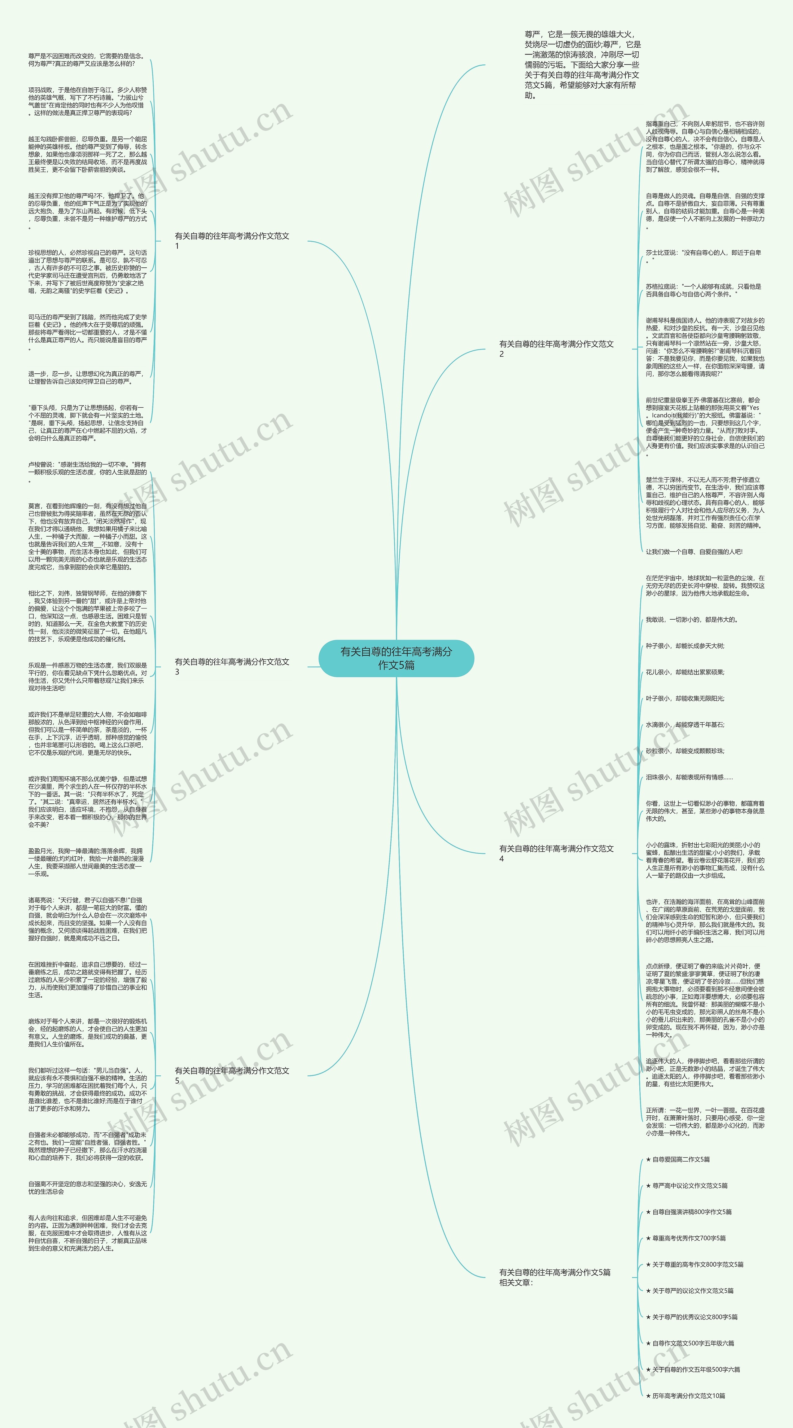 有关自尊的往年高考满分作文5篇思维导图