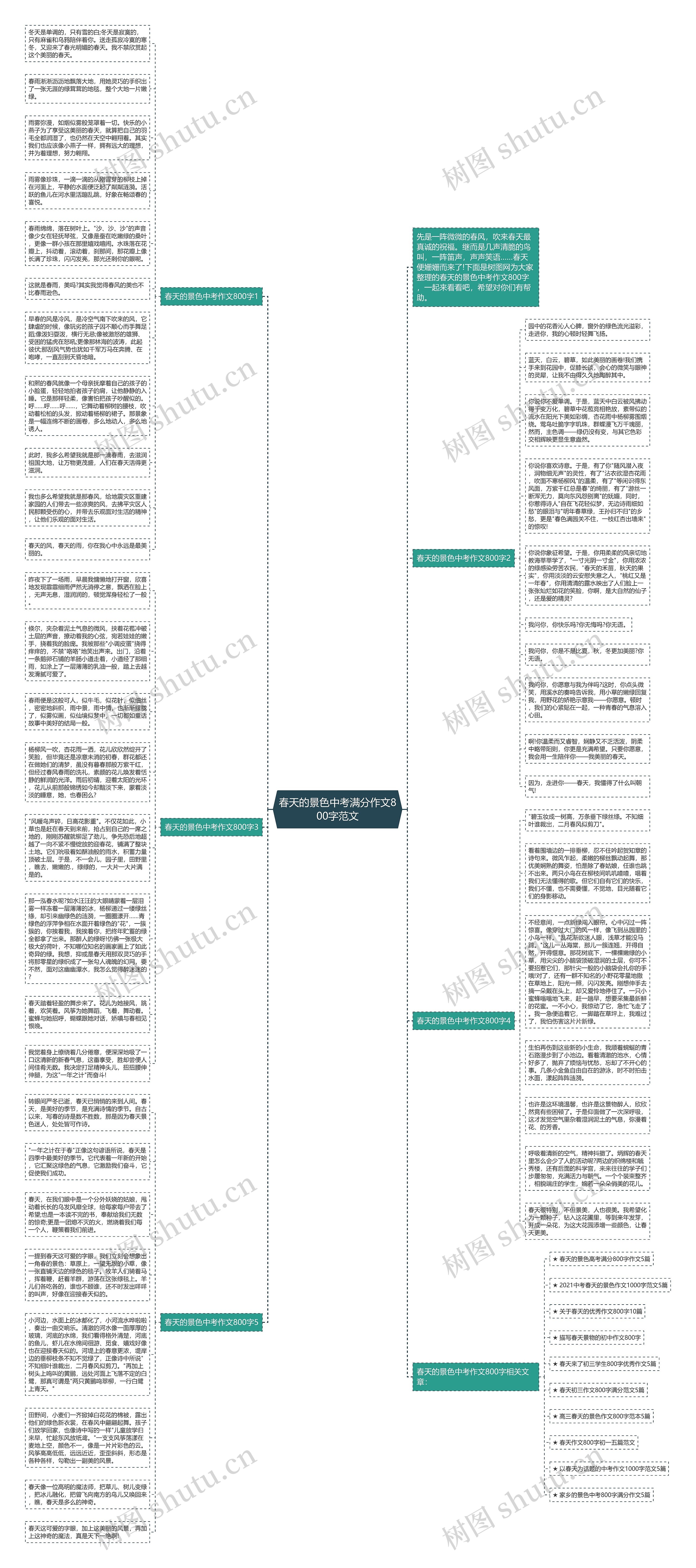 春天的景色中考满分作文800字范文思维导图