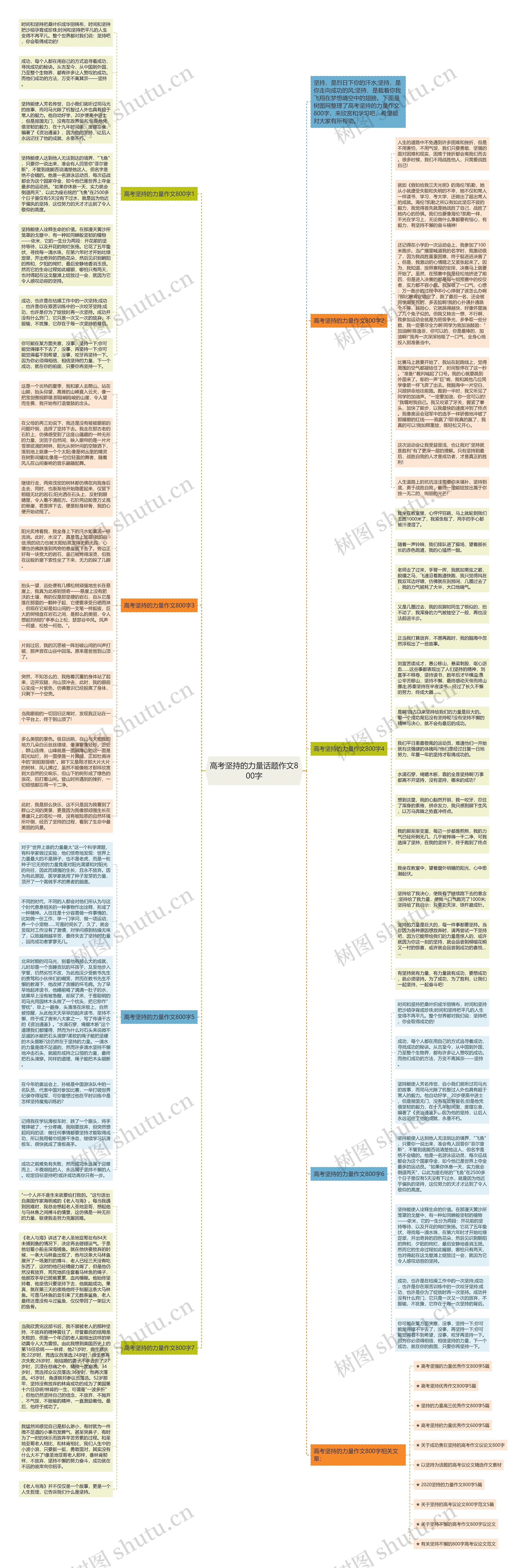 高考坚持的力量话题作文800字思维导图