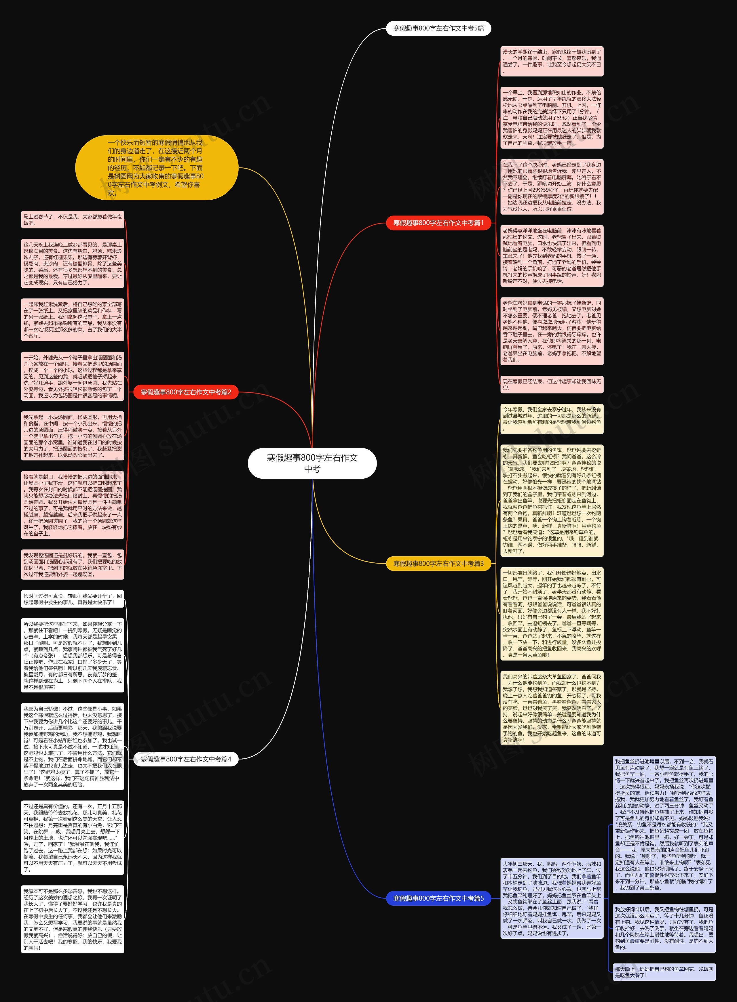 寒假趣事800字左右作文中考思维导图