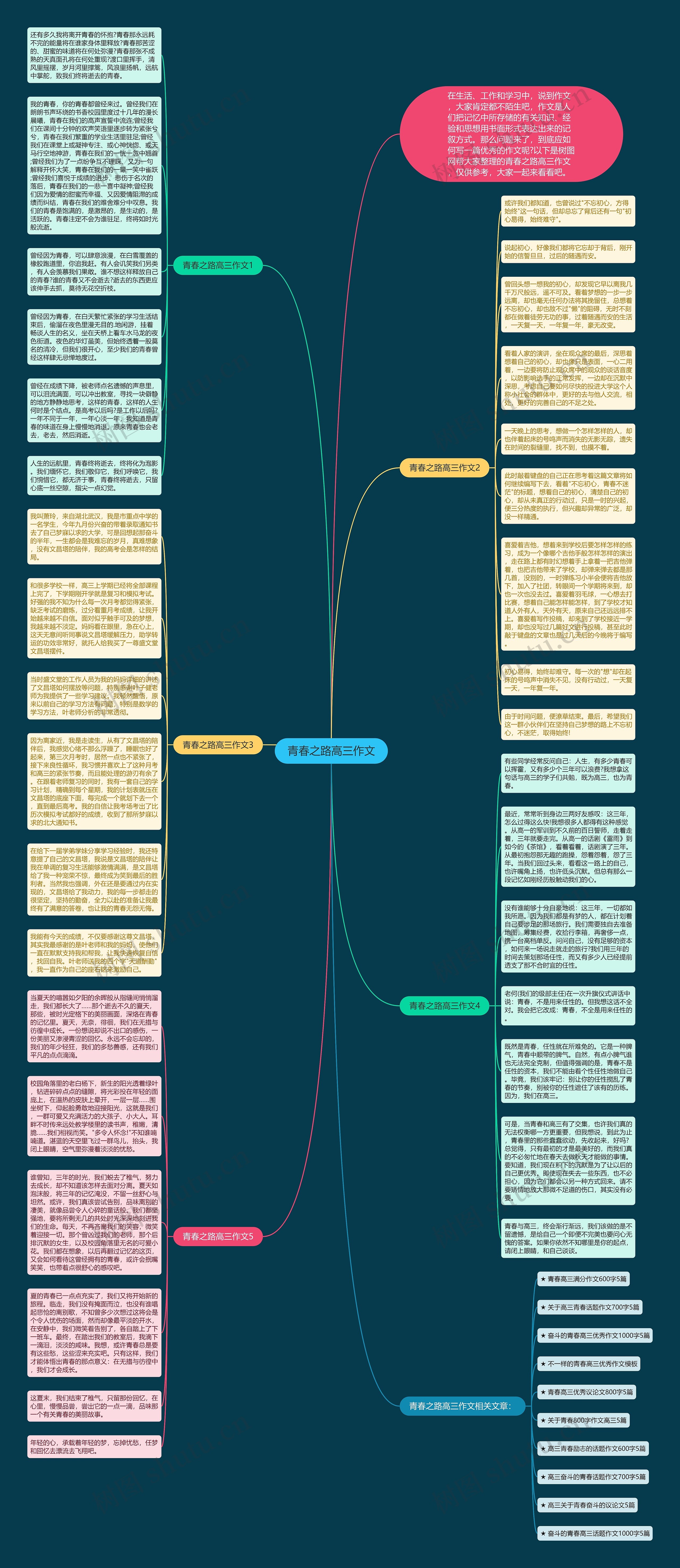 青春之路高三作文思维导图