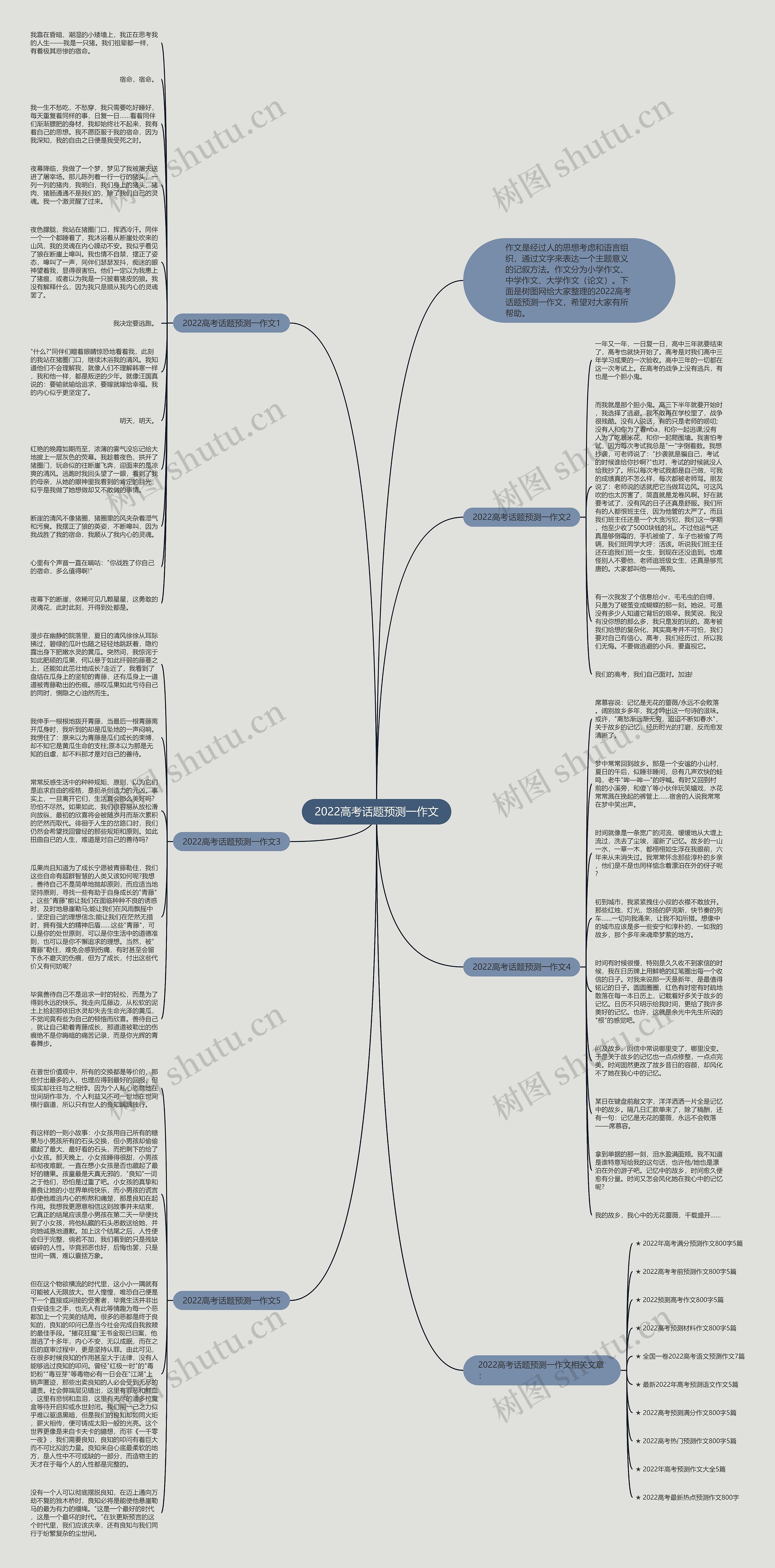 2022高考话题预测一作文思维导图