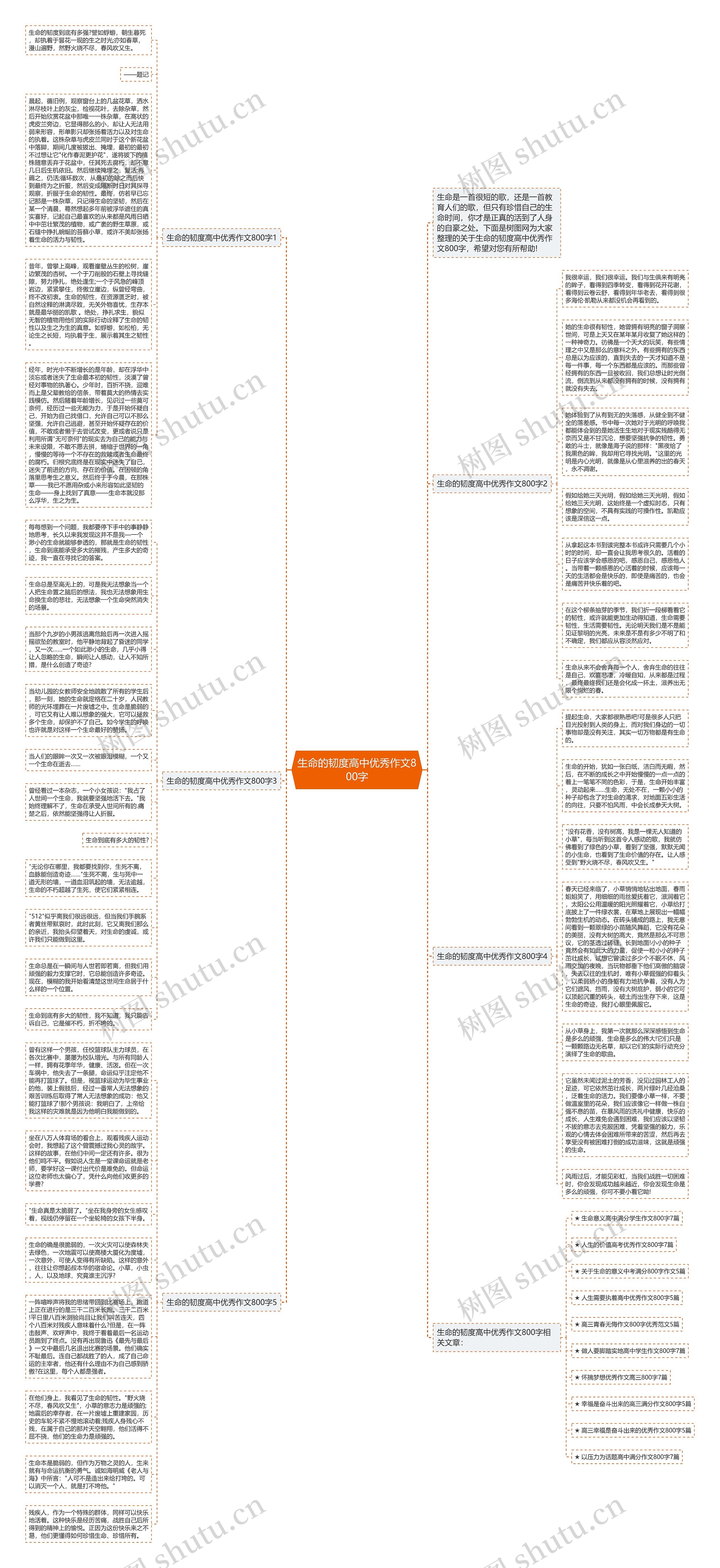 生命的韧度高中优秀作文800字思维导图
