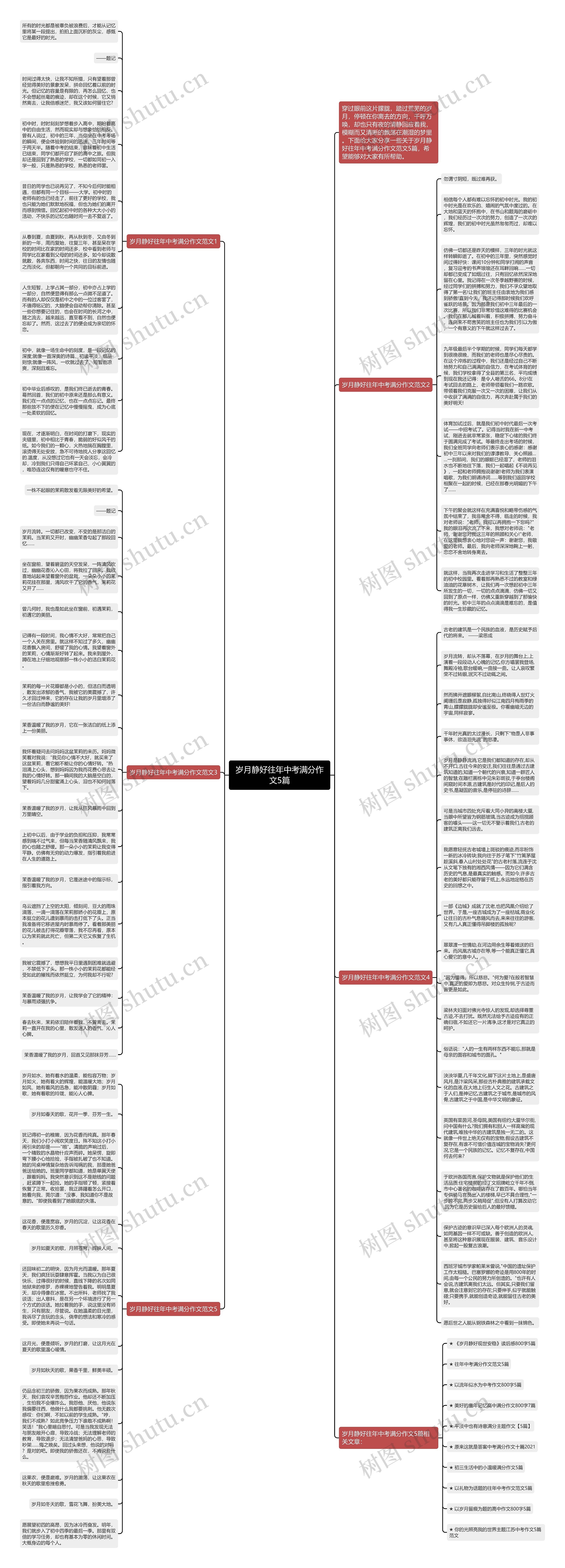 岁月静好往年中考满分作文5篇思维导图