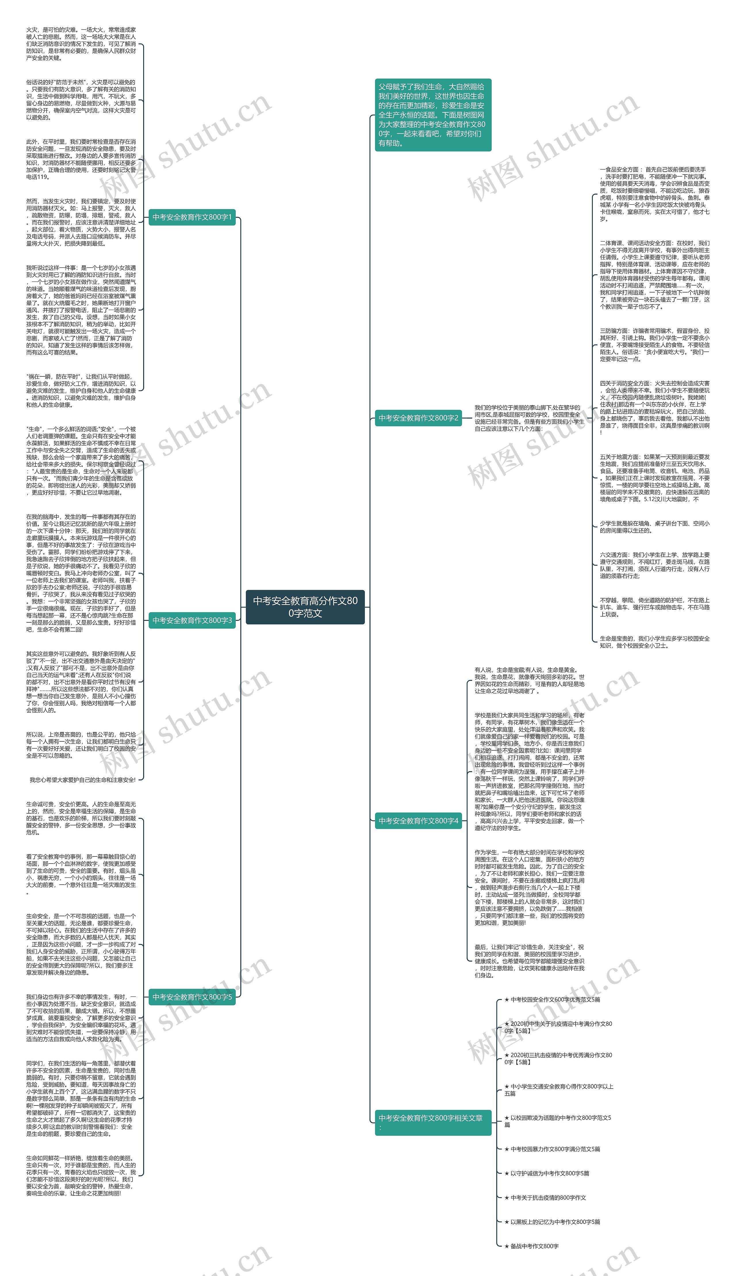 中考安全教育高分作文800字范文思维导图