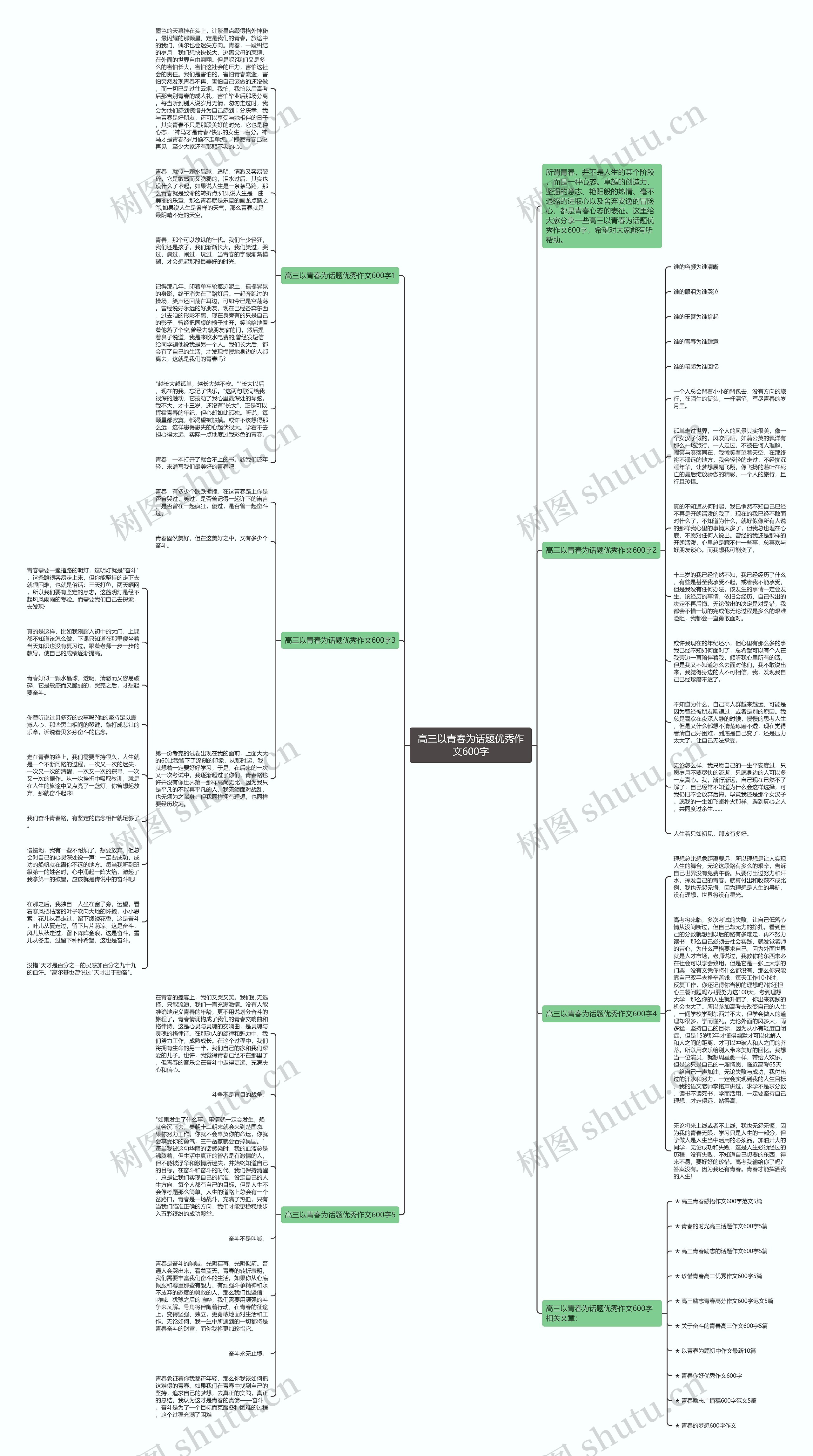 高三以青春为话题优秀作文600字思维导图